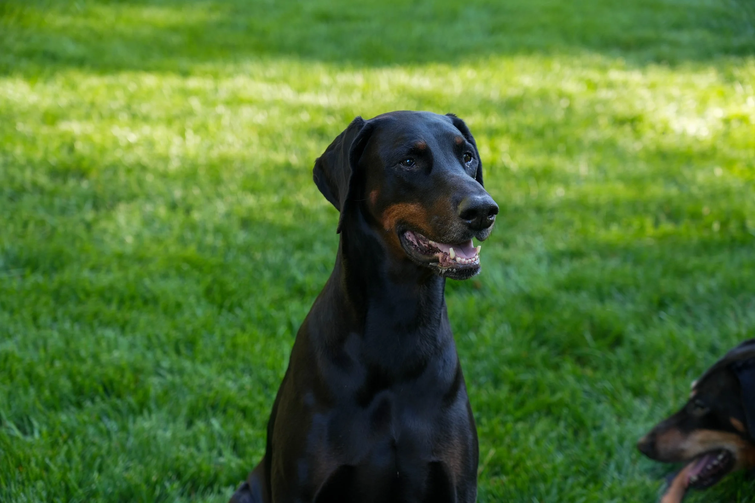DSC01652.jpg