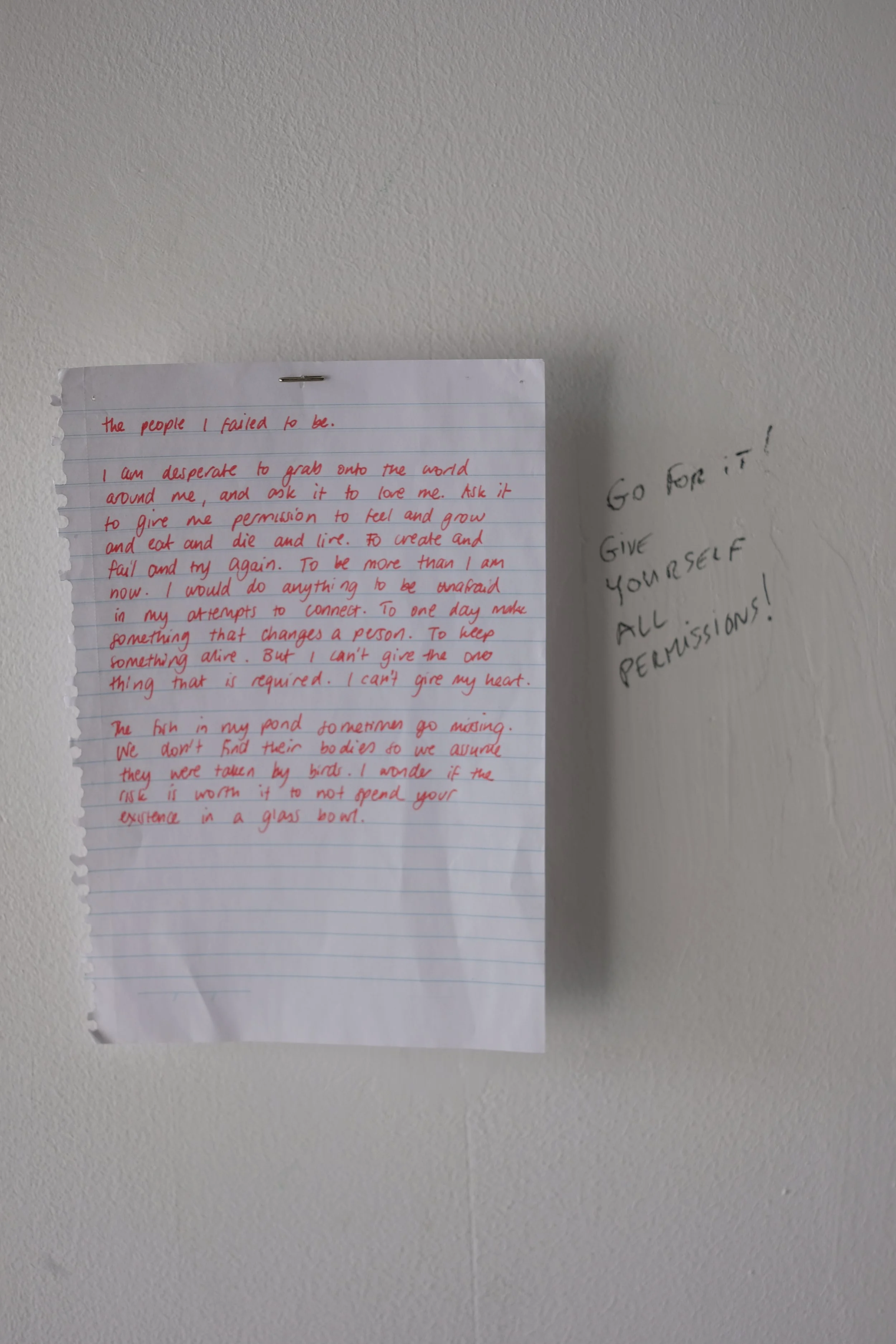 DSCF7140.JPG