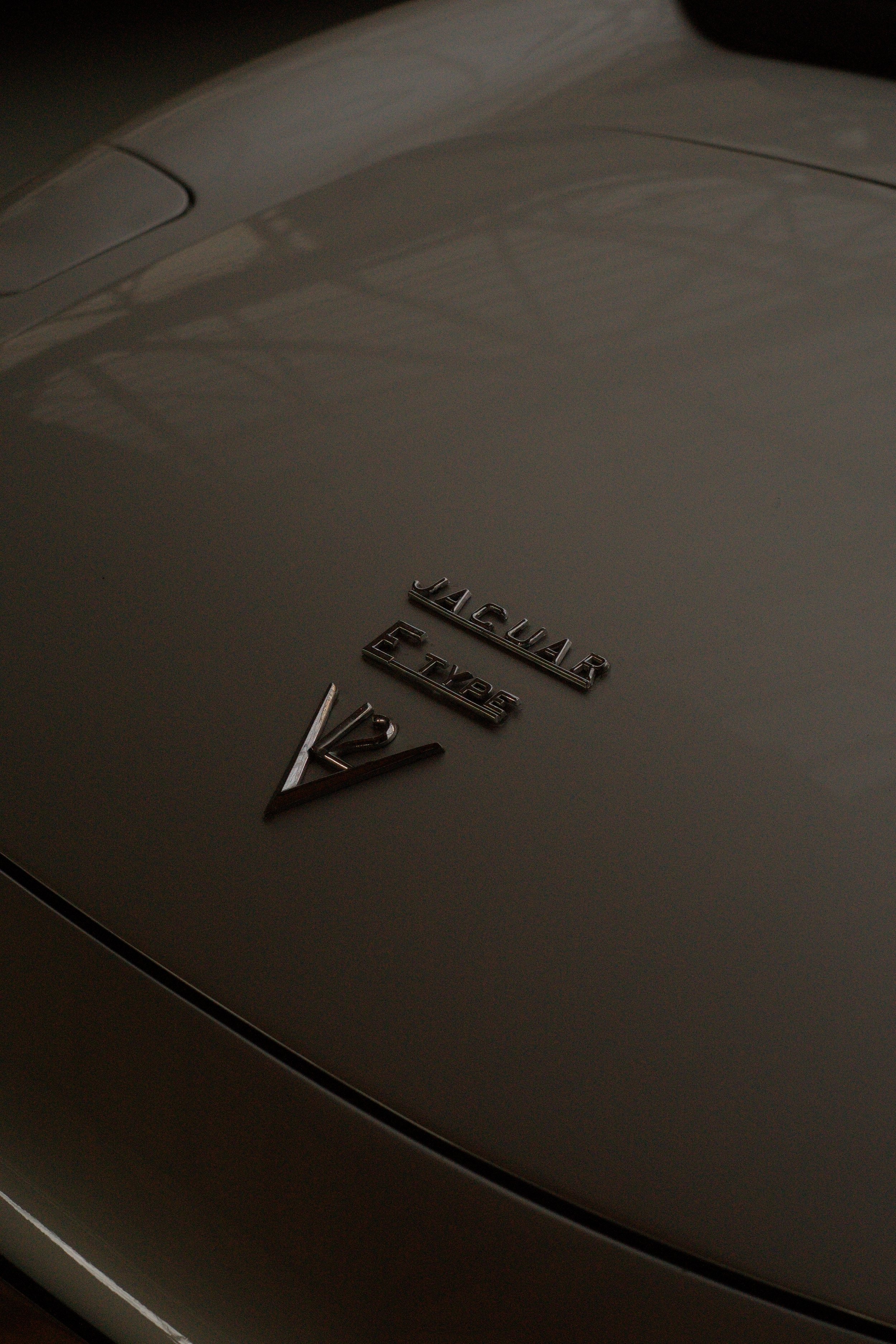 Nahaufnahme des Jaguar-Emblems auf der Motorhaube eines Autos.