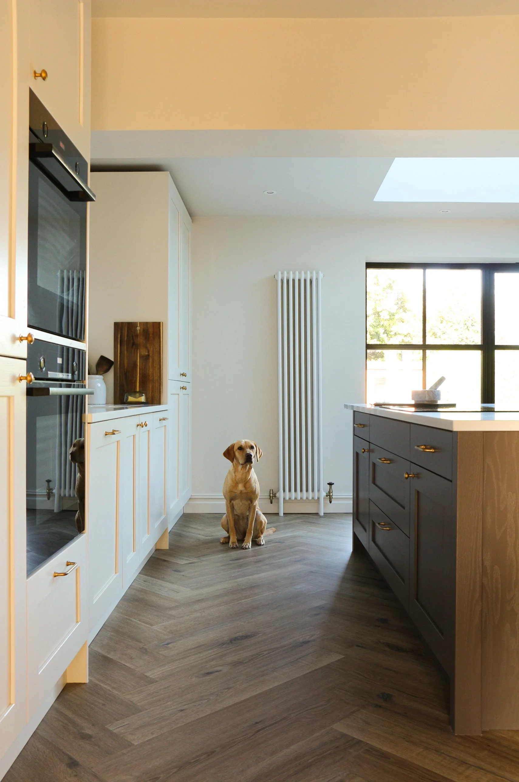 A modern kitchen with wooden floors, white cabinets, and a large window. There is a sitting dog in the center of the room and another dog partially visible behind the cabinets.