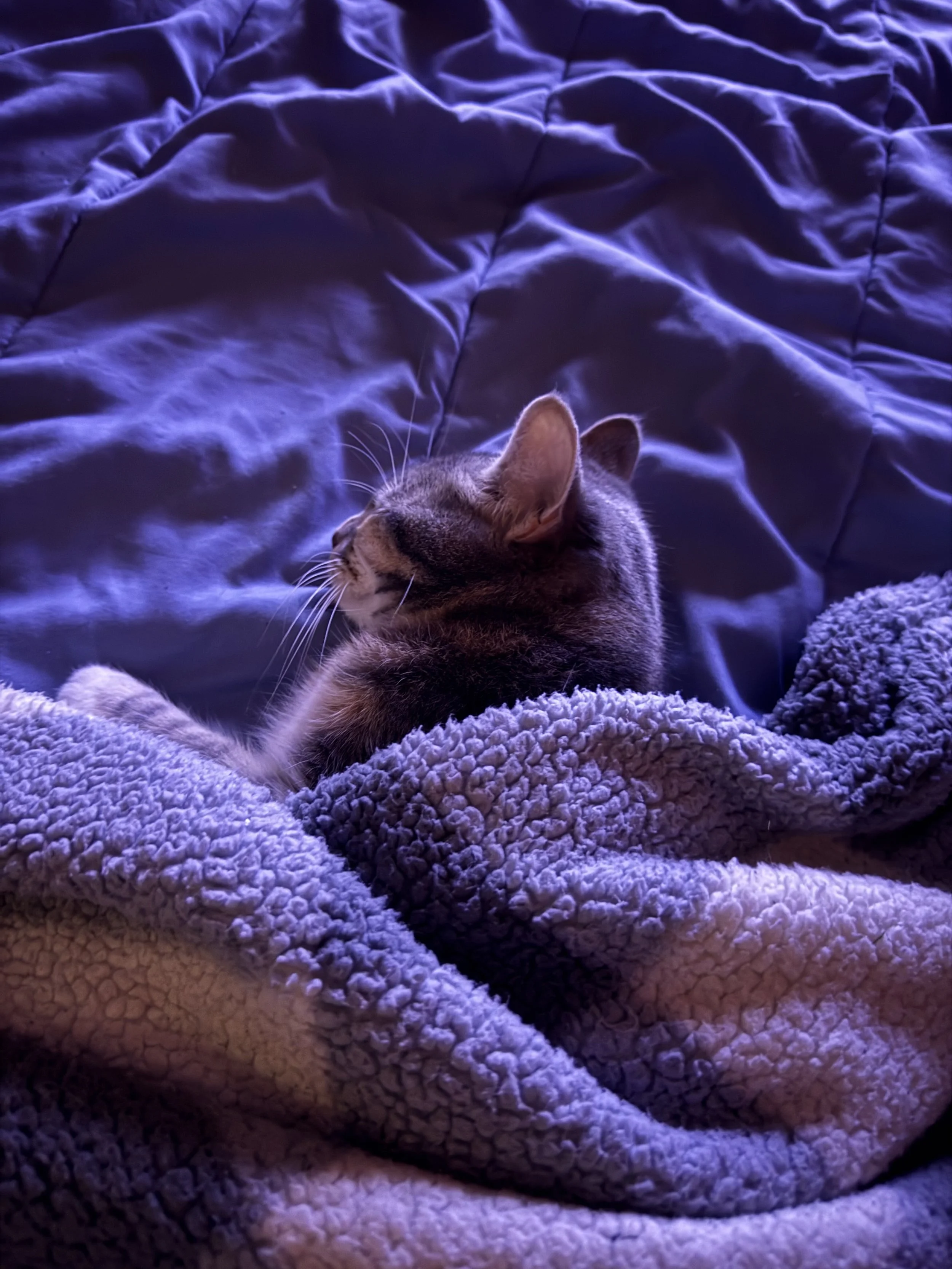 A long day…