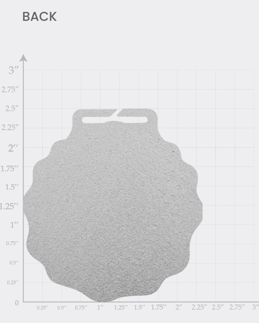 Medal 3.png