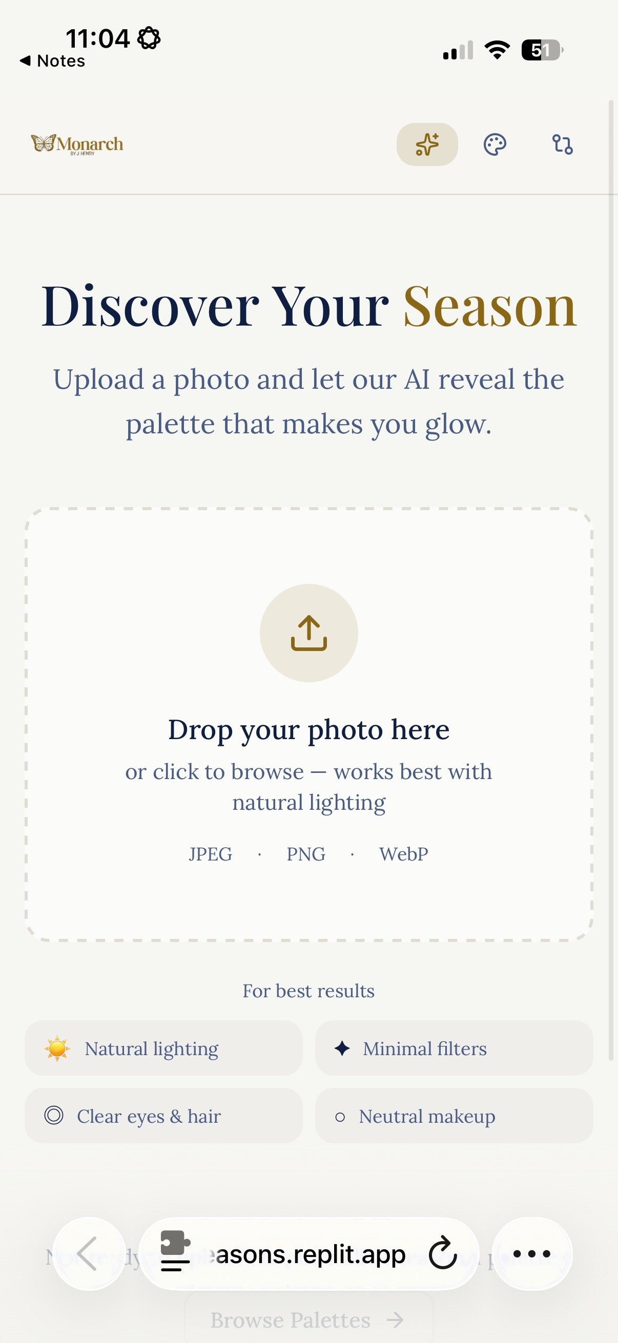 Mobile screen displaying a photo-upload app interface with options to discover your season by uploading a photo, including icons for natural lighting, filters, and makeup tips.