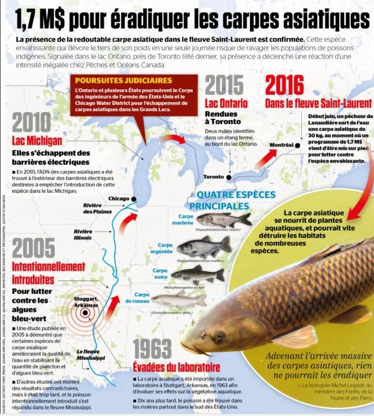 carpe-info.jpg