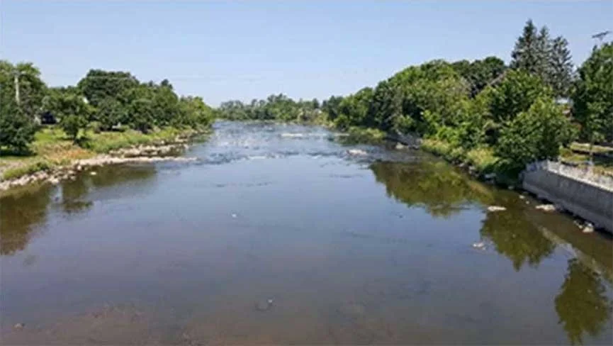 Revégétalisation des bandes riveraines du Saint-Henri urbanisé | 2019
