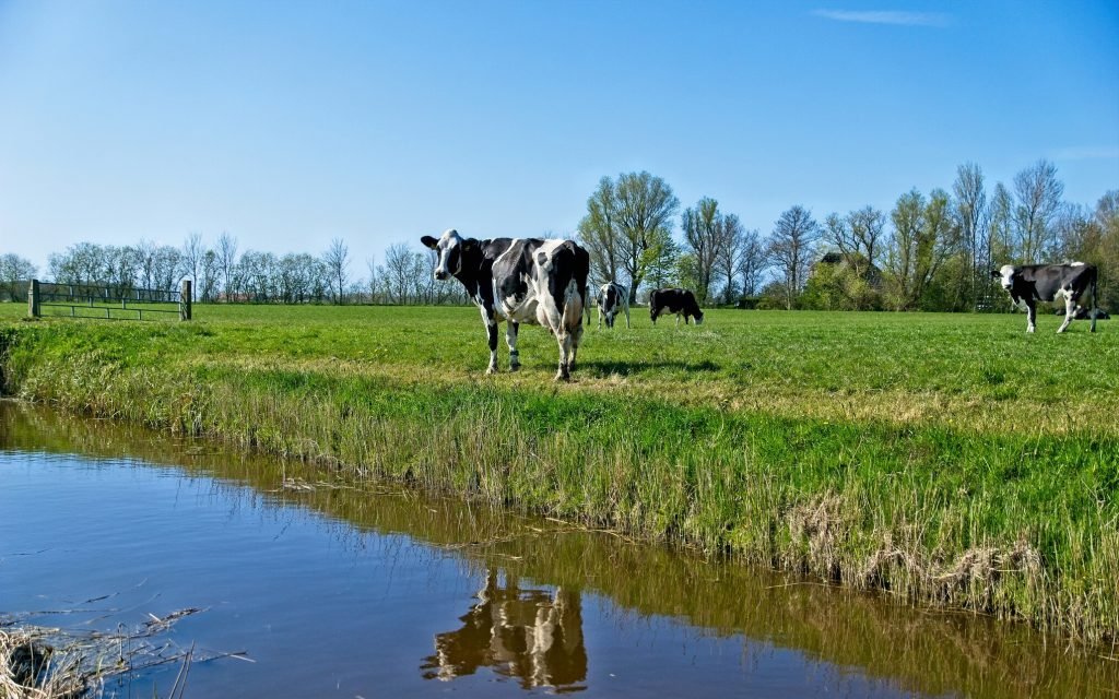 Mise à jour du règlement sur les pratiques agroenvironnementales (RPAE)