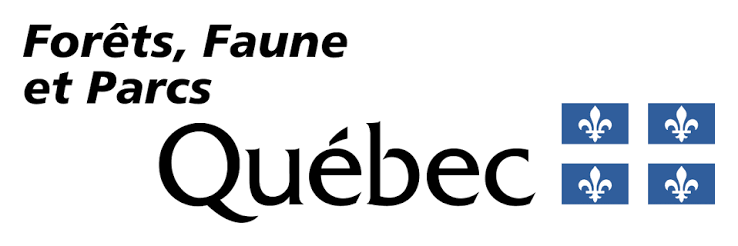 foret-faune-parc-canada.png