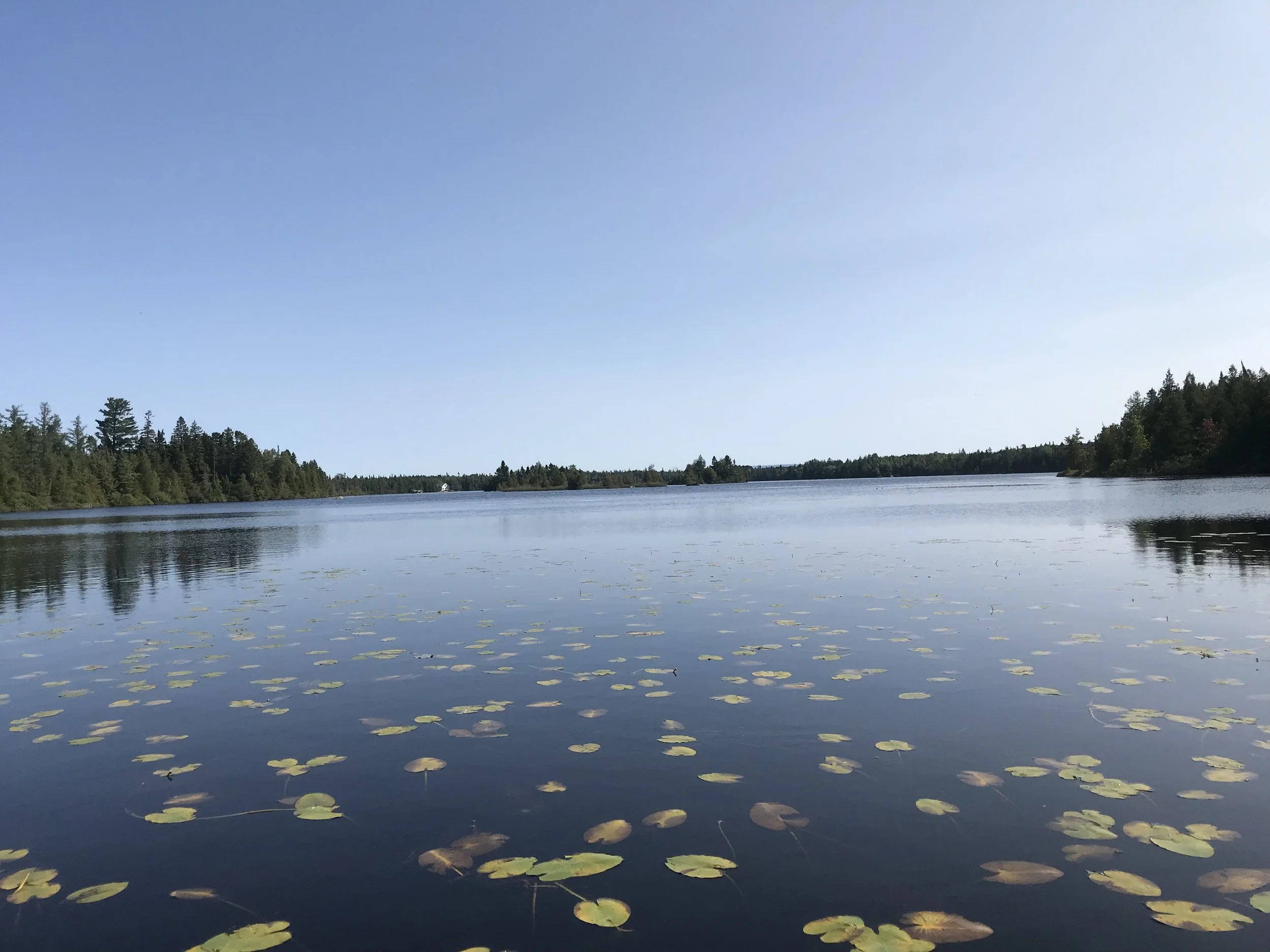 Lac_Baxter.JPEG