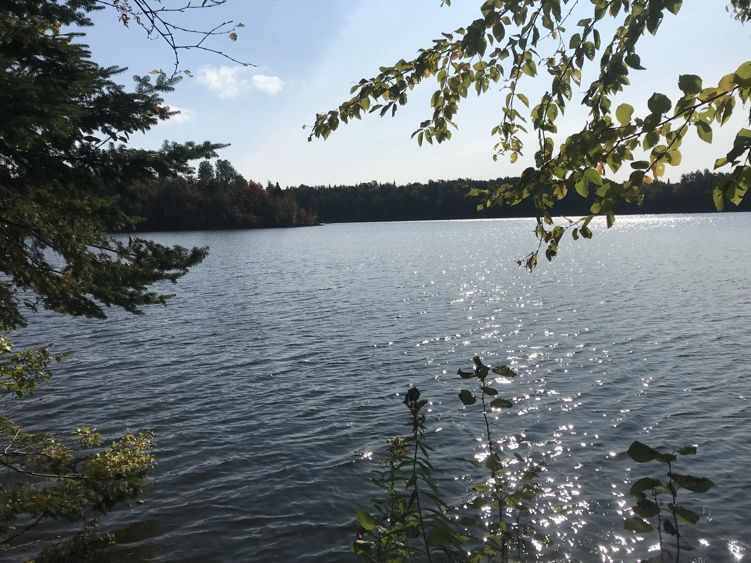 Lac_Dion.JPEG