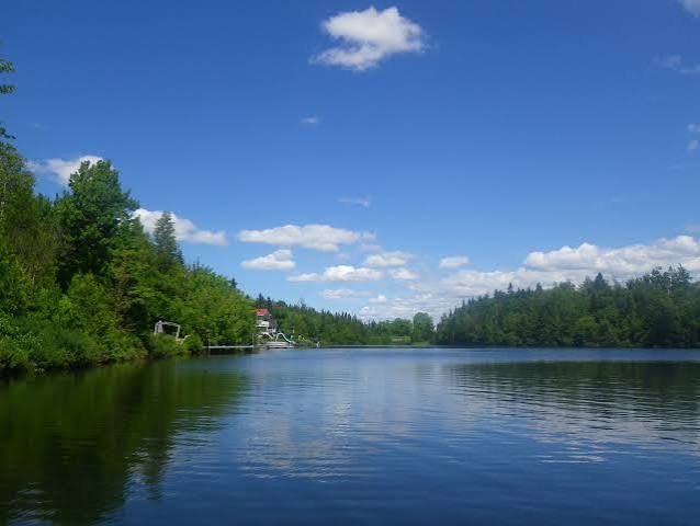 Détection des PAEE dans les lacs de Chaudière-Appalaches | 2023