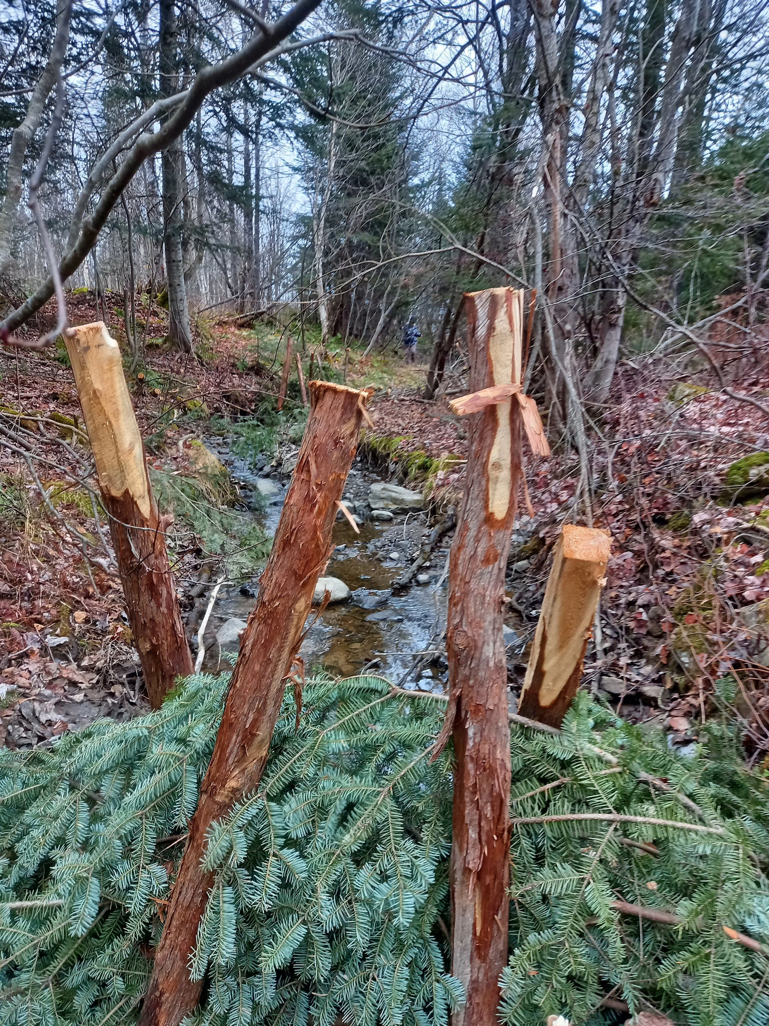 Étude hydrogéomorphologique du bassin versant du ruisseau Mailhot pour la recherche de solutions aux entretiens récurrents | 2024