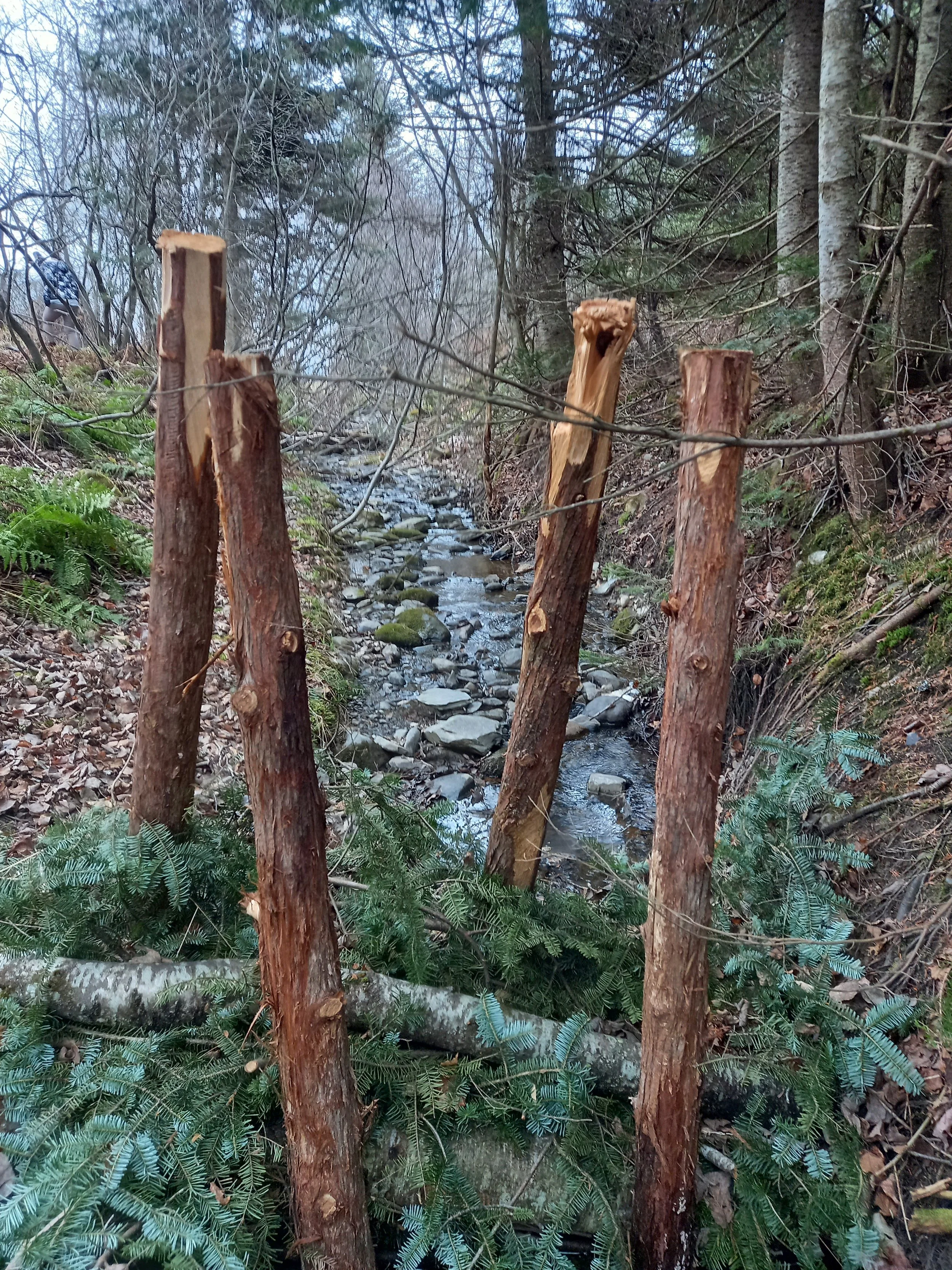 Structure_1-ruisseau-mailhot-obv-etchemin.jpg
