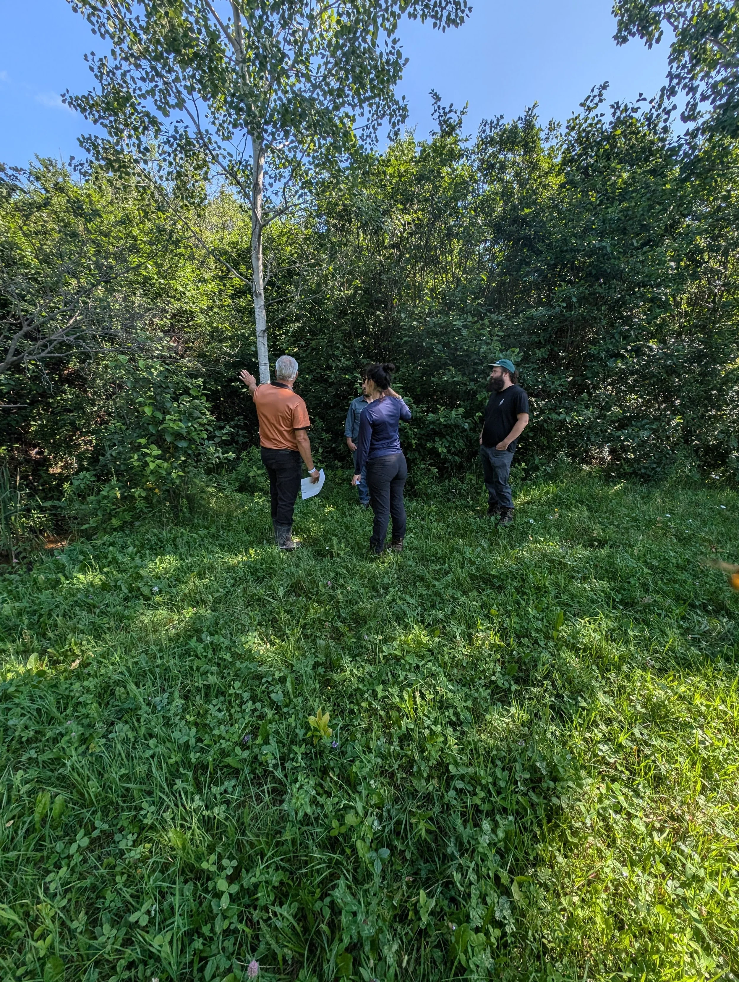visite-ruisseau-mailhot-obv-etchemin.jpg