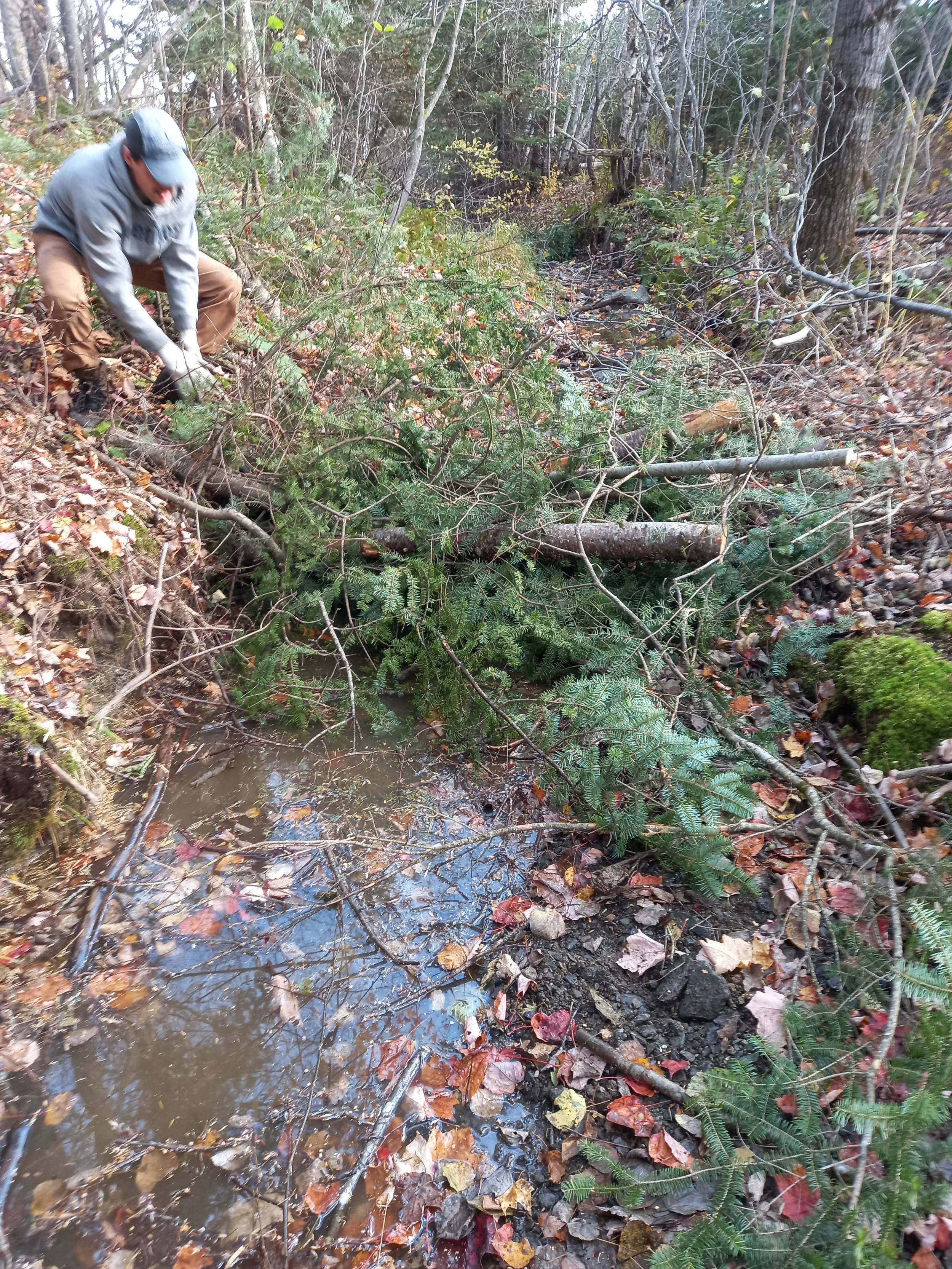 travaux-installation-low-tech-obv-etchemin-ruisseau-Mailhot.jpg