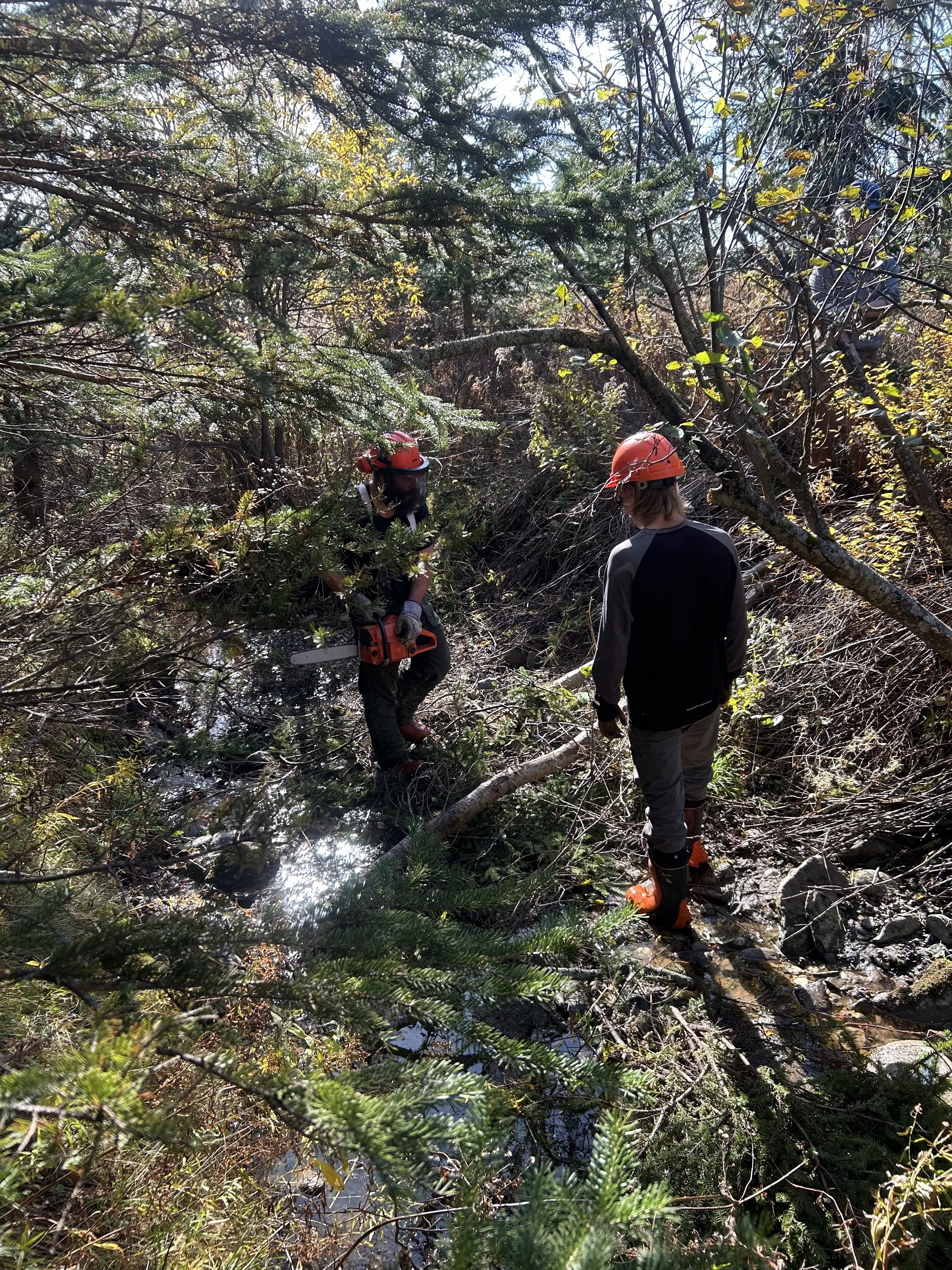 travaux-installation-low-tech-obv-etchemin-ruisseau-Mailhot.JPEG