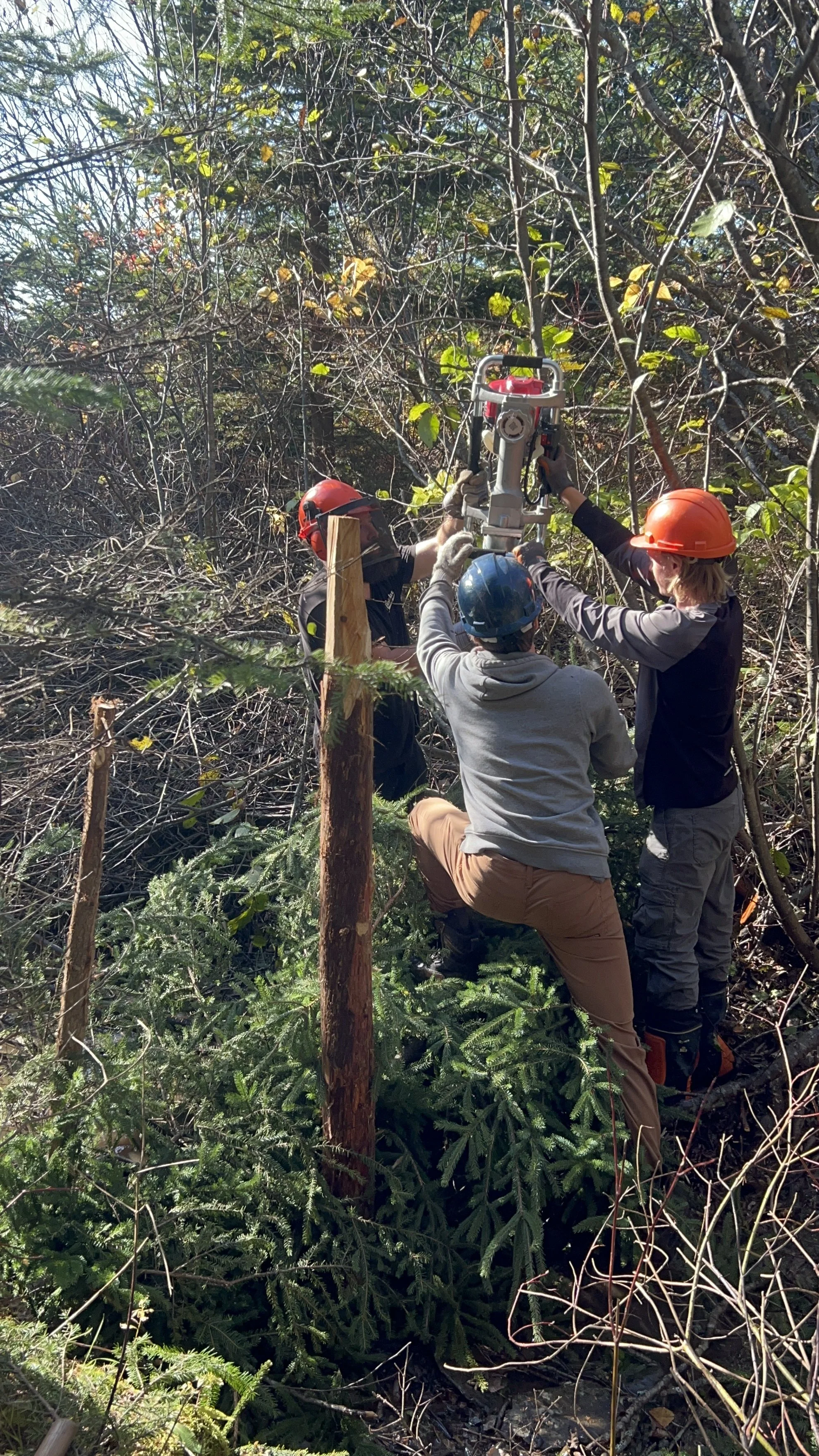 travaux-installation-low-tech-obv-etchemin-ruisseau-Mailhot (2).JPG