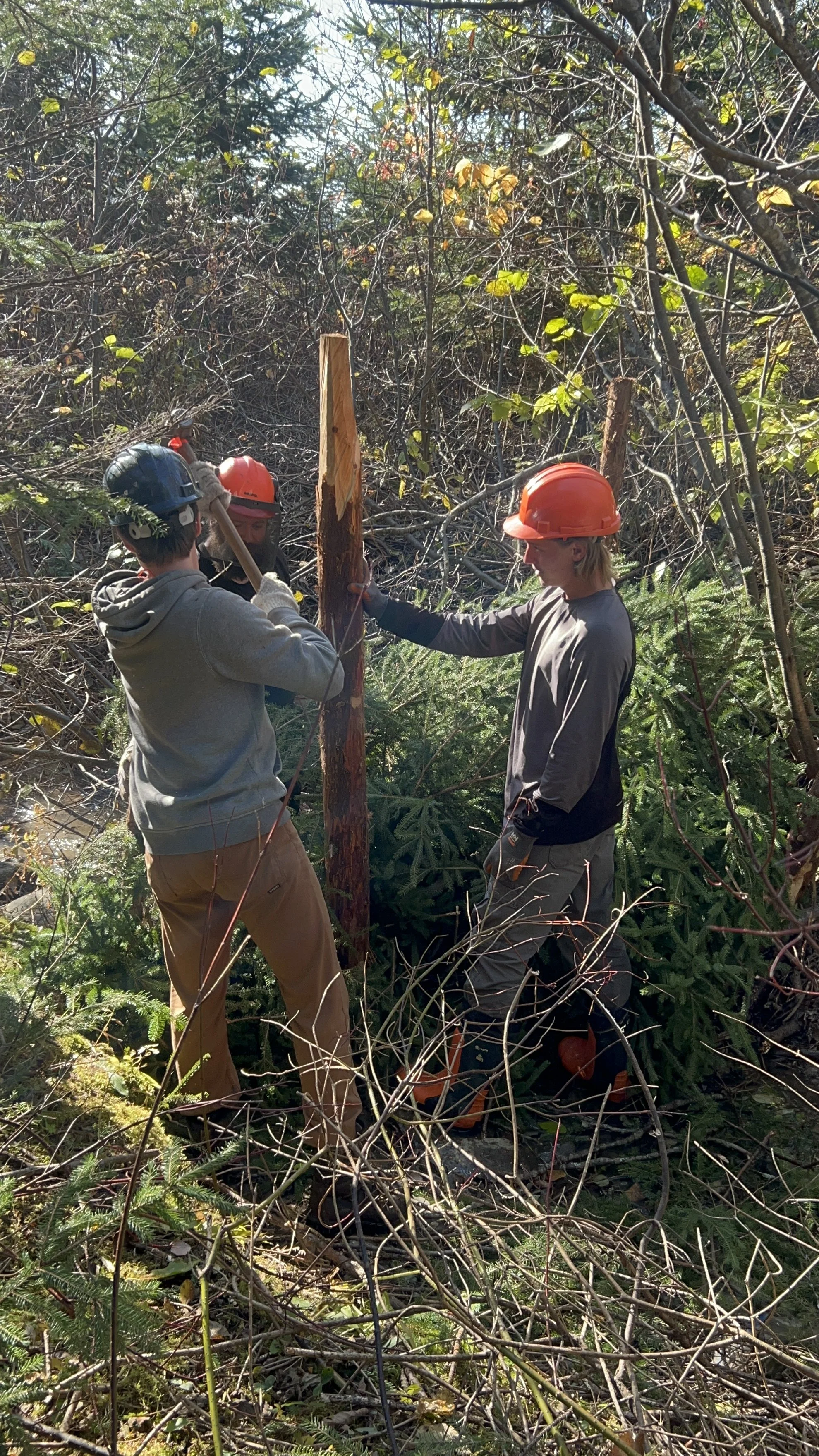 travaux-installation-low-tech-obv-etchemin-ruisseau-Mailhot-4.JPG