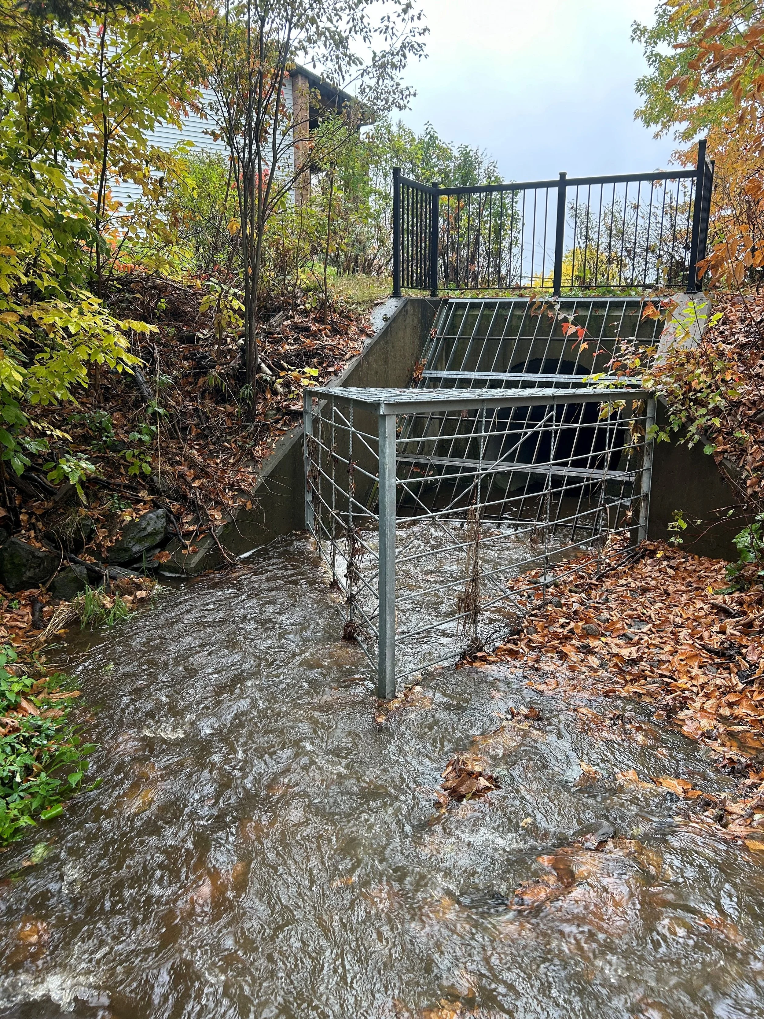 barriere-a-sediment-ponceau-obv-etchemin-ruisseau-mailhot.jpg