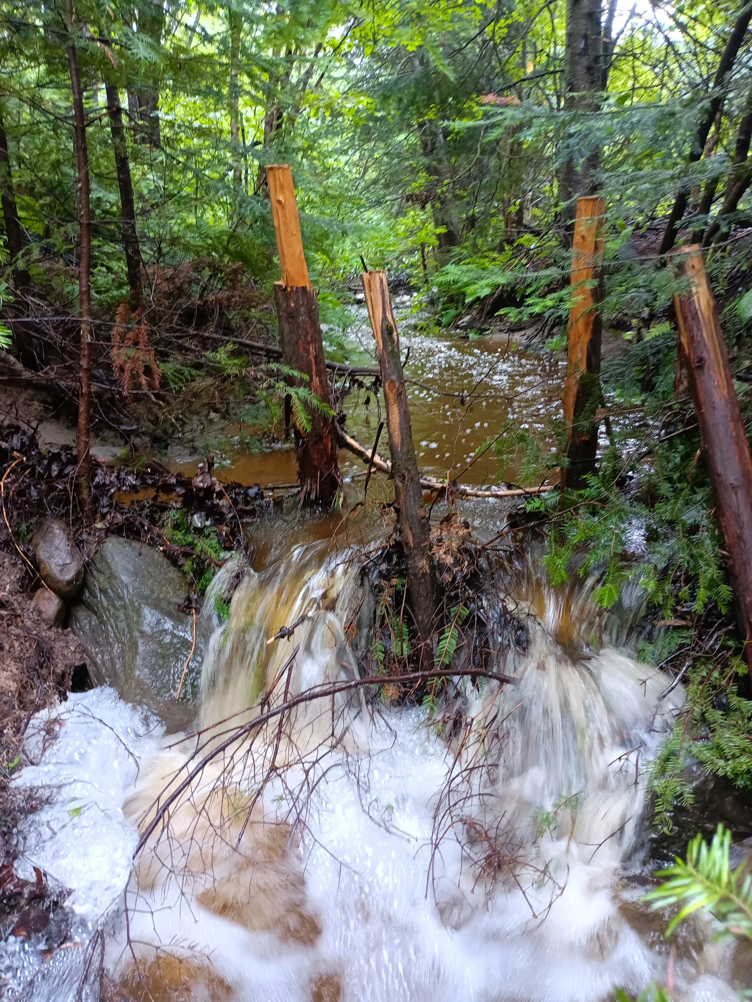 suivi-installation-low-tech-obv-etchemin-ruisseau-Mailhot.jpg