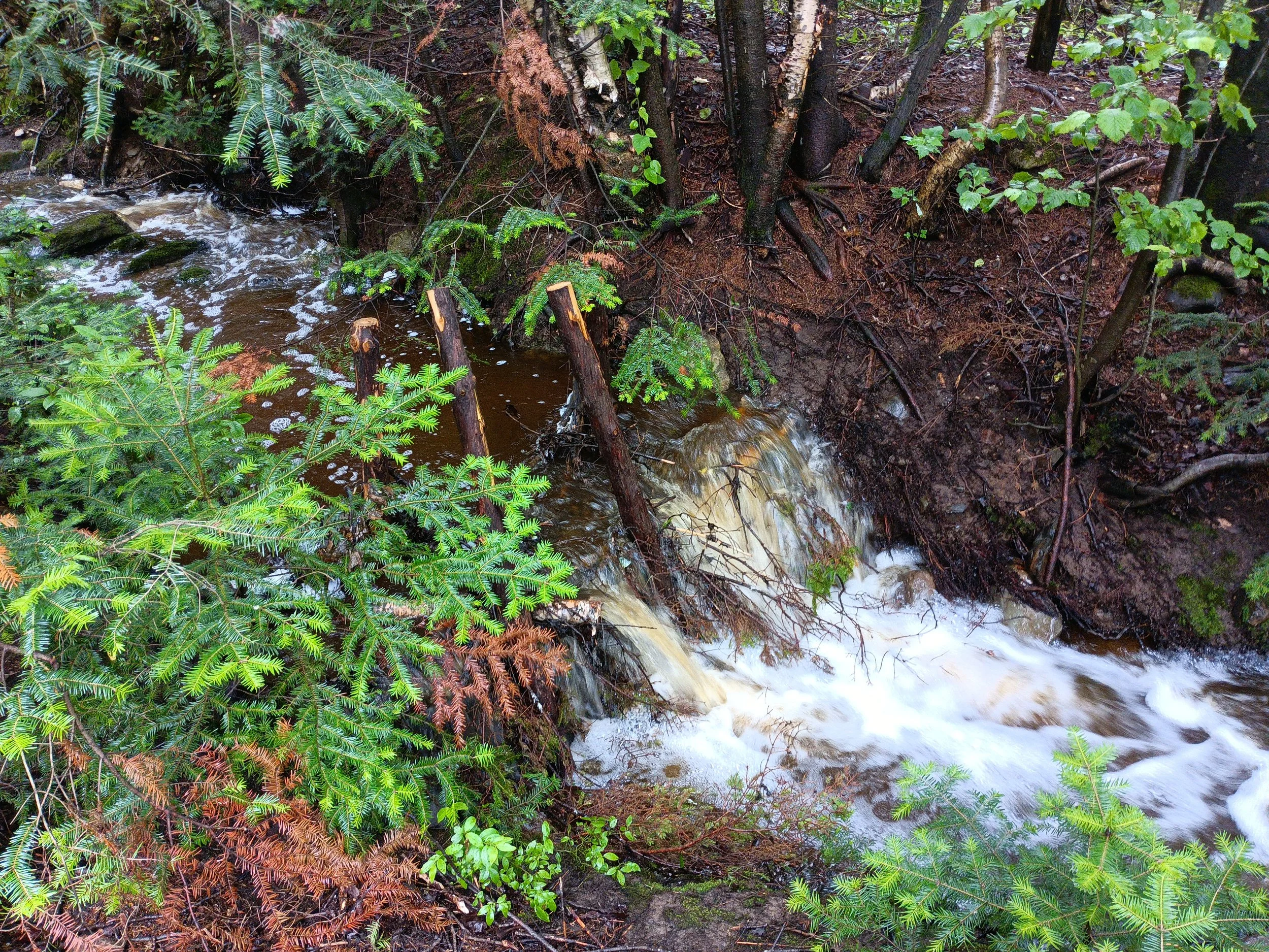 suivi-installation-low-tech-obv-etchemin-ruisseau-Mailhot-1.jpg