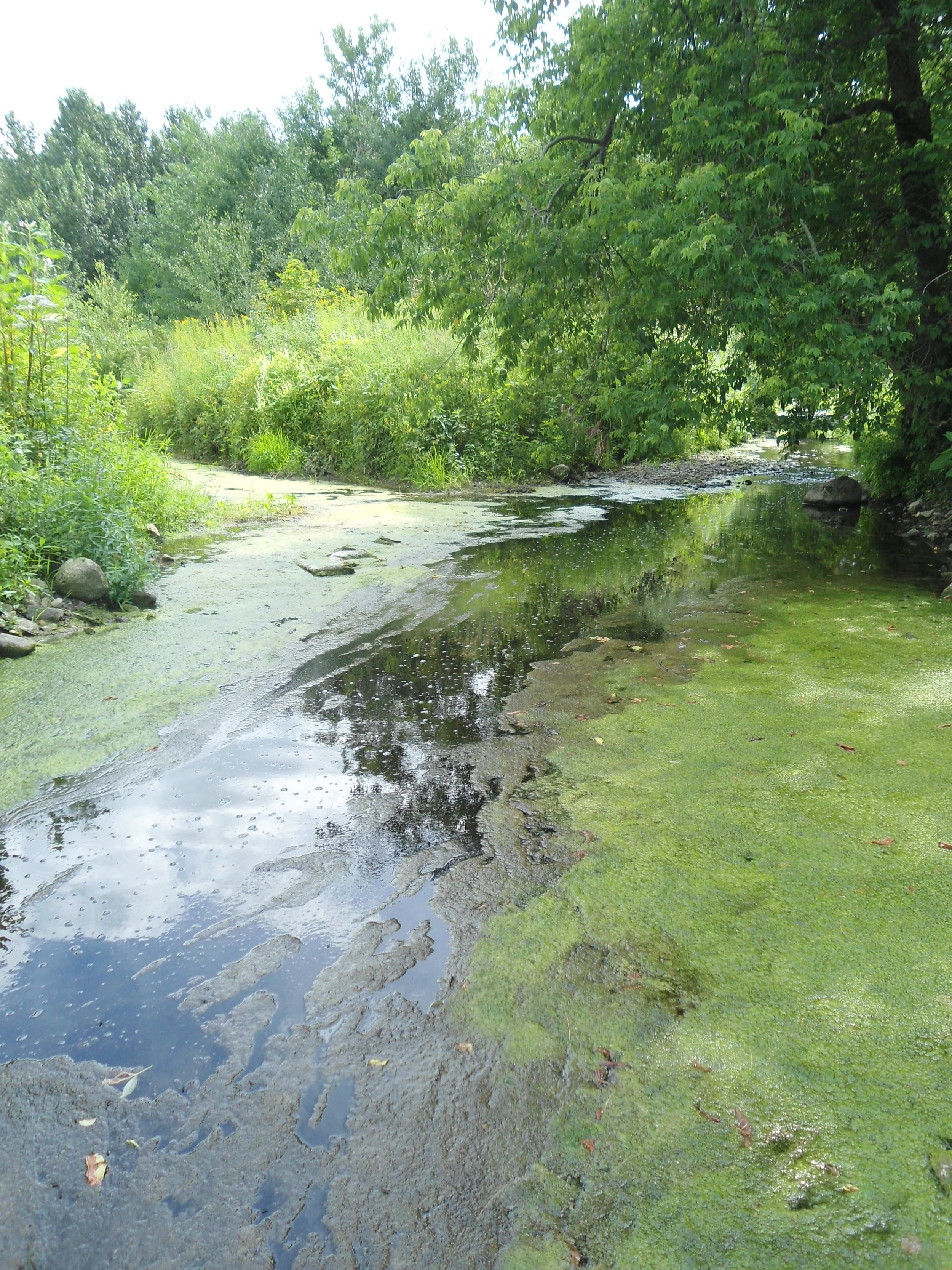Suivis physicochimiques de la qualité de l’eau
