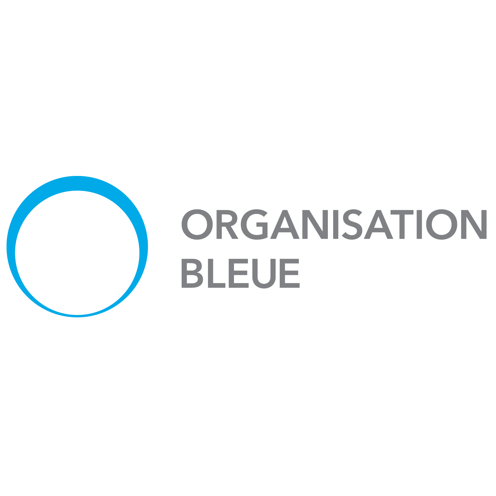 organisation-bleue.png