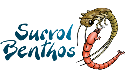 SurVol Benthos.png