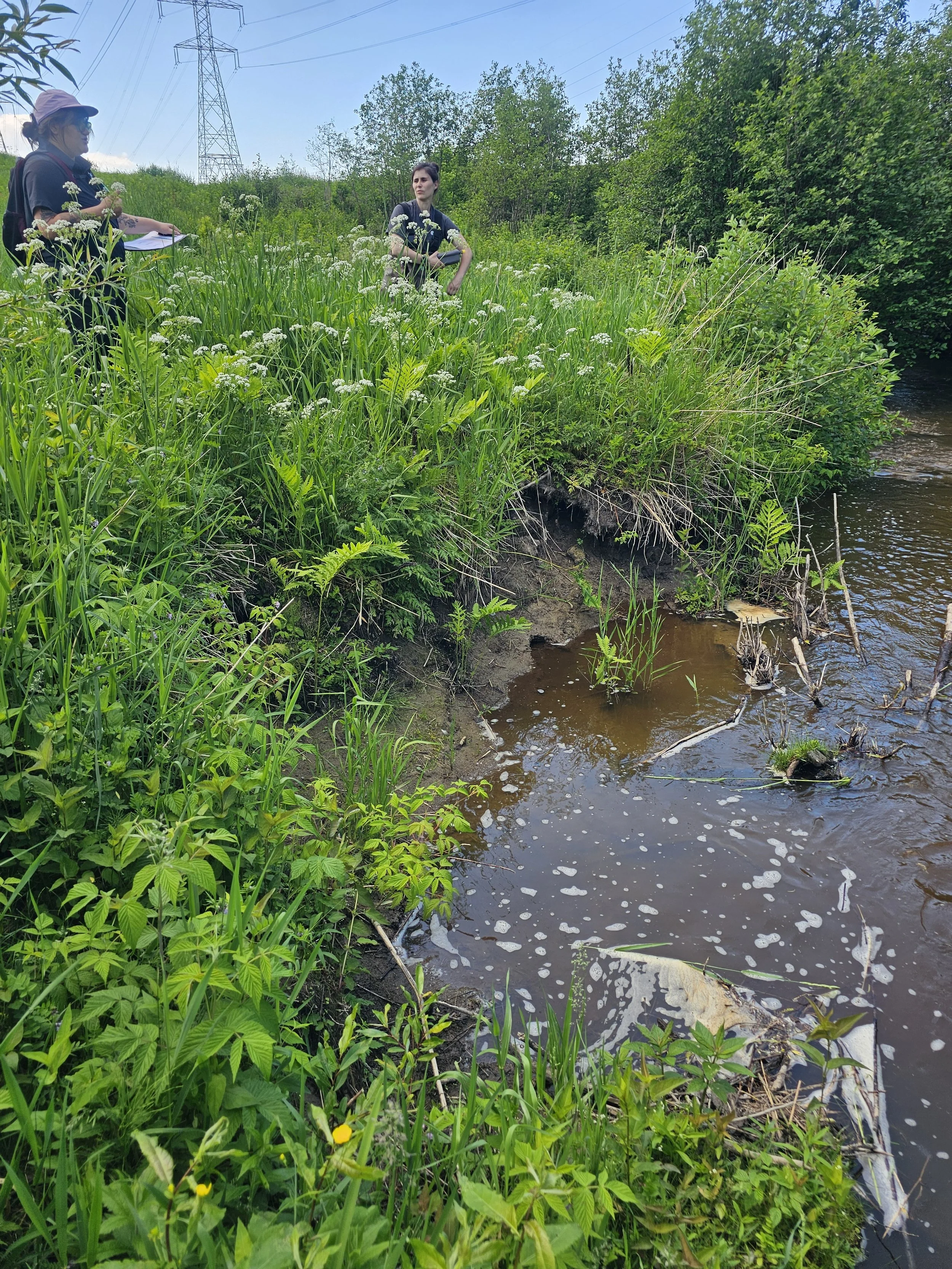 erosion_berges_riviere_penin_psio_2026.jpg