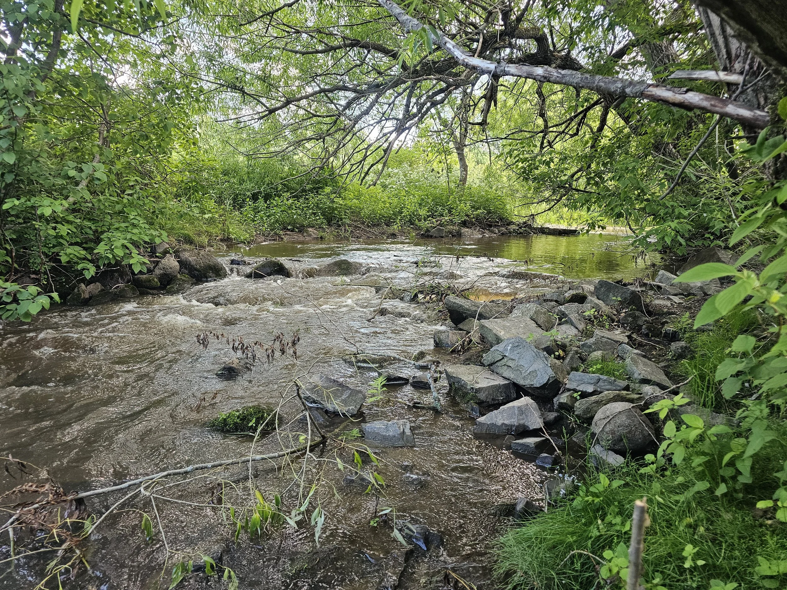 Dynamique naturelle des cours d’eau dans la ville de Lévis |2026-2028