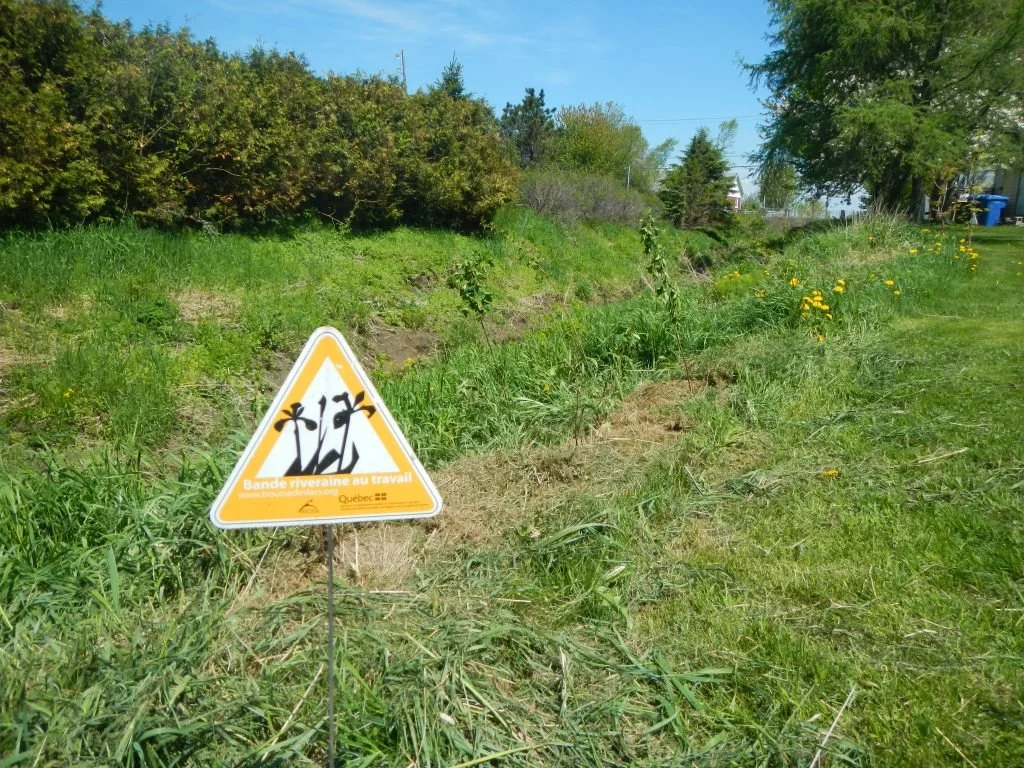 CVE Plantation 3.jpg