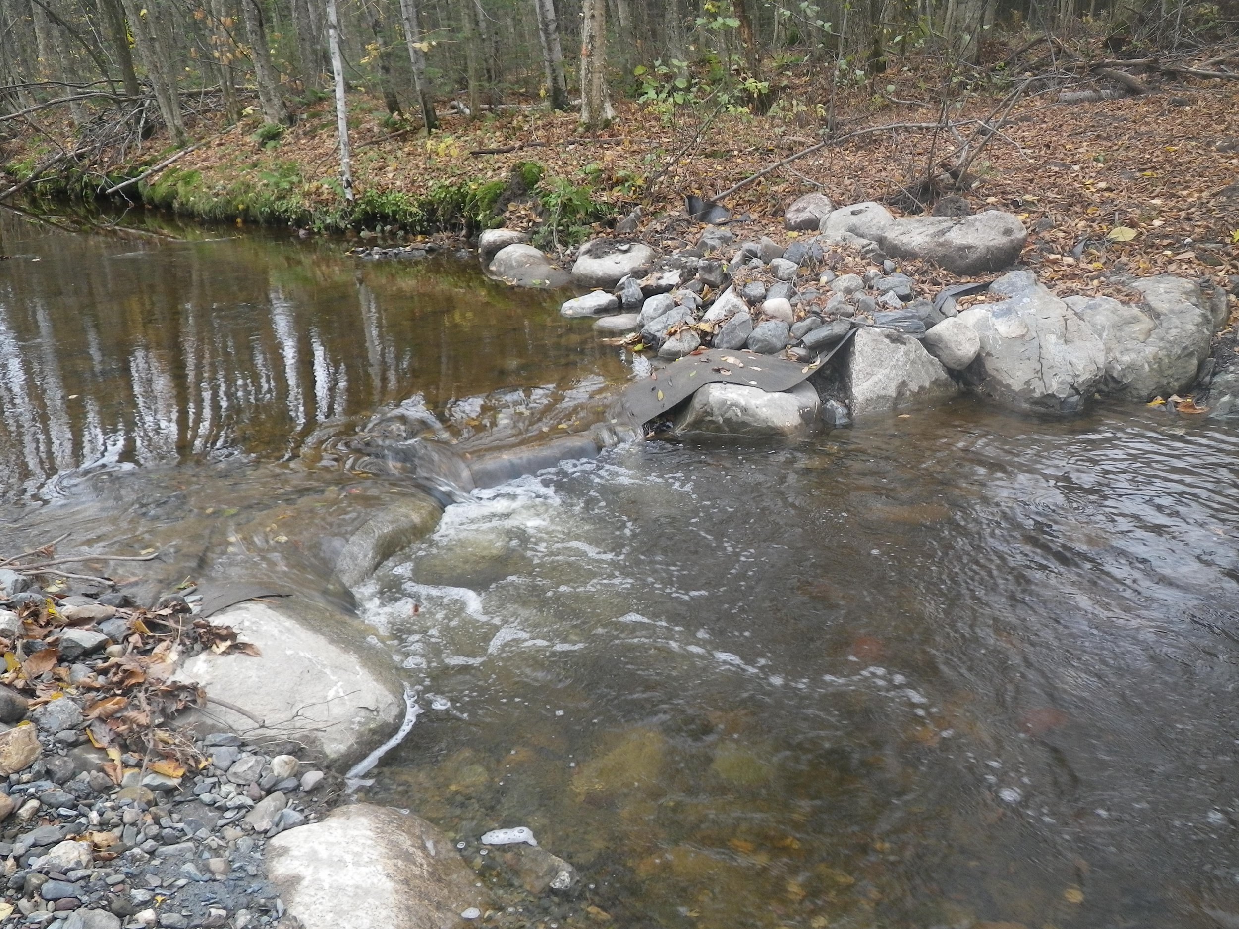 Mise en valeur de la biodiversité agricole dans la rivière Le Bras | 2016-2017