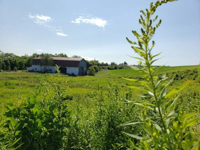amenagement_lebras_obv_etchemin_2021.jpg