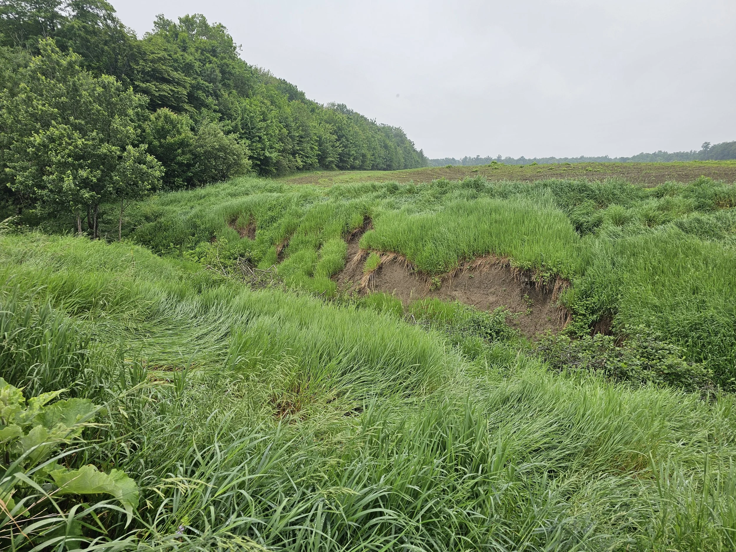 enjeu-erosion-penin-obv-etchemin-2025.jpg