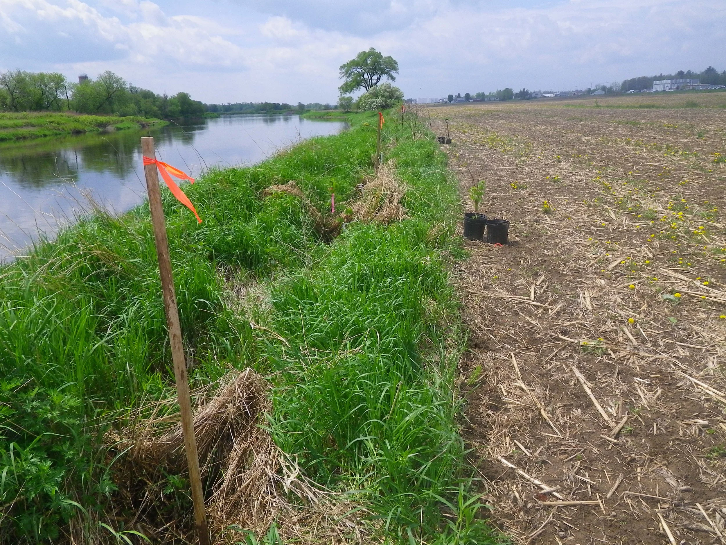 riviere_etchemin_saint-henri_obv_etchemin_2015.JPG