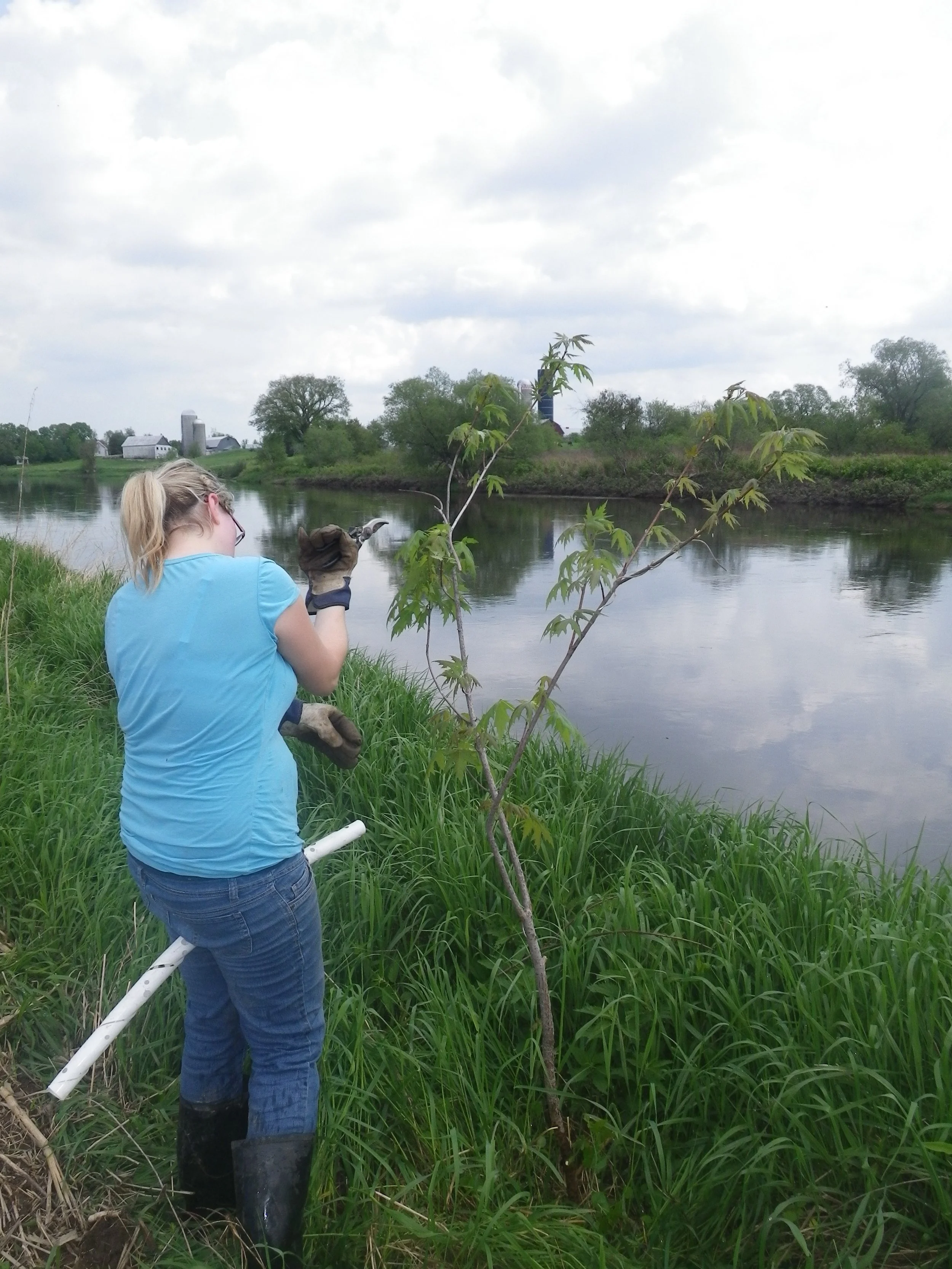 riviere_etchemin_saint-henri_obv_etchemin_2015_.JPG
