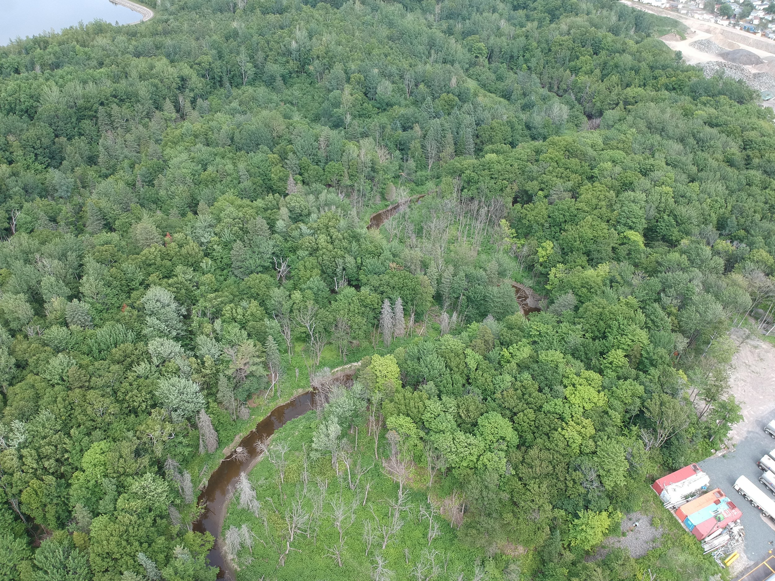 rivière_a_la_scie_obv_etchemin_2021.JPG