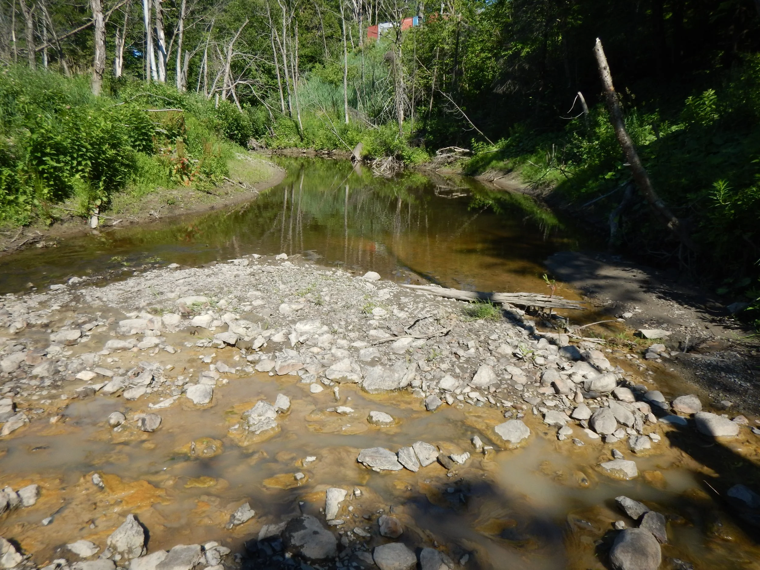 riviere_a_la_scie_obv_etchemin_2021.jpeg