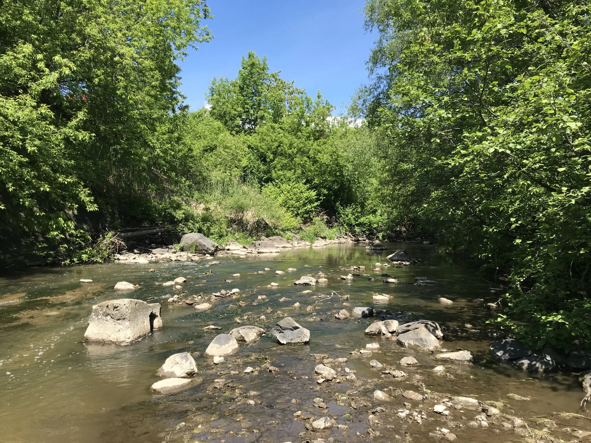 sediment_grossier_riviere_scie_obv_etchemin_2021.JPG