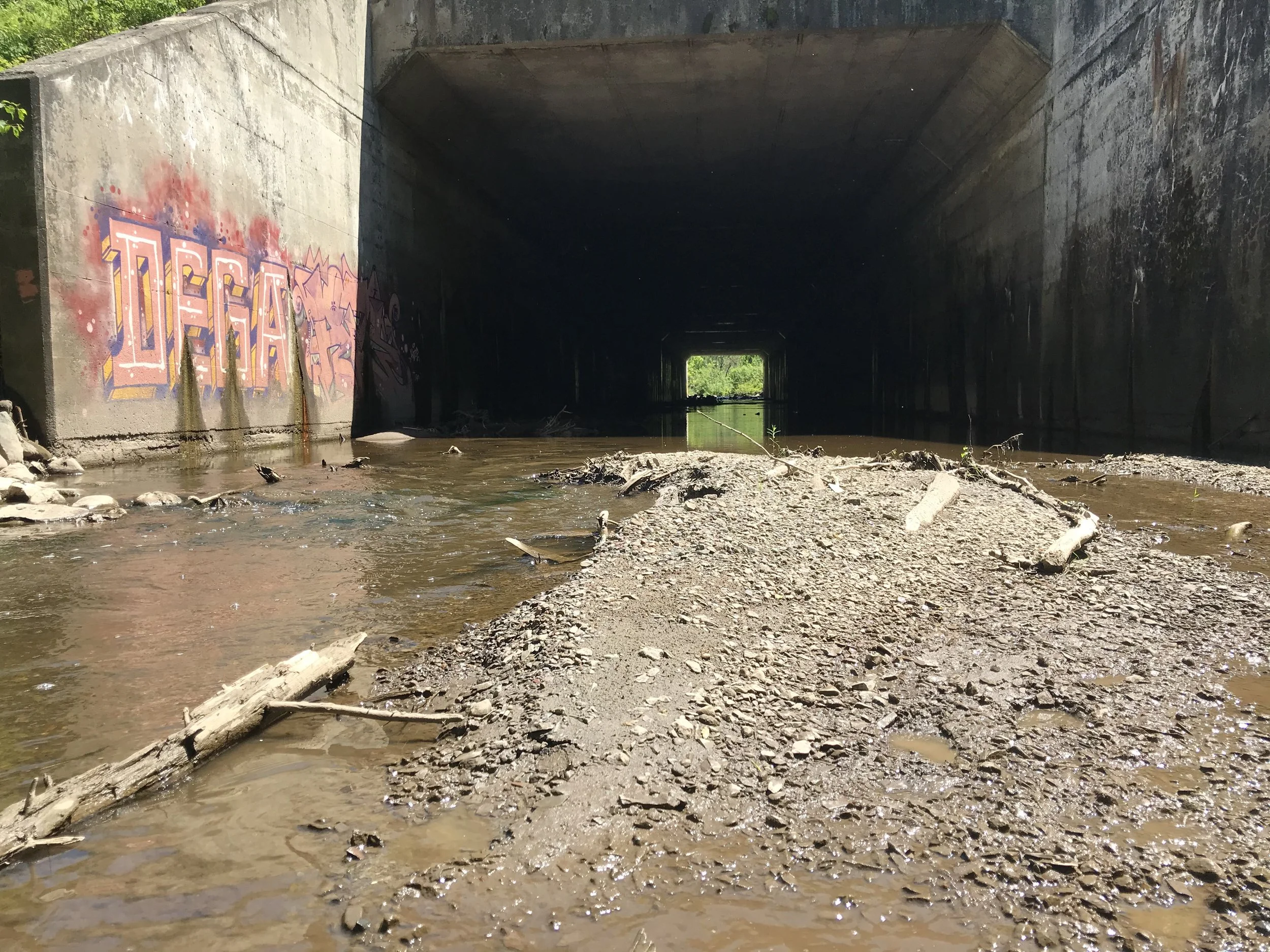 sediments_riviere_a_la_scie_obv_Etchemin_2021.JPG