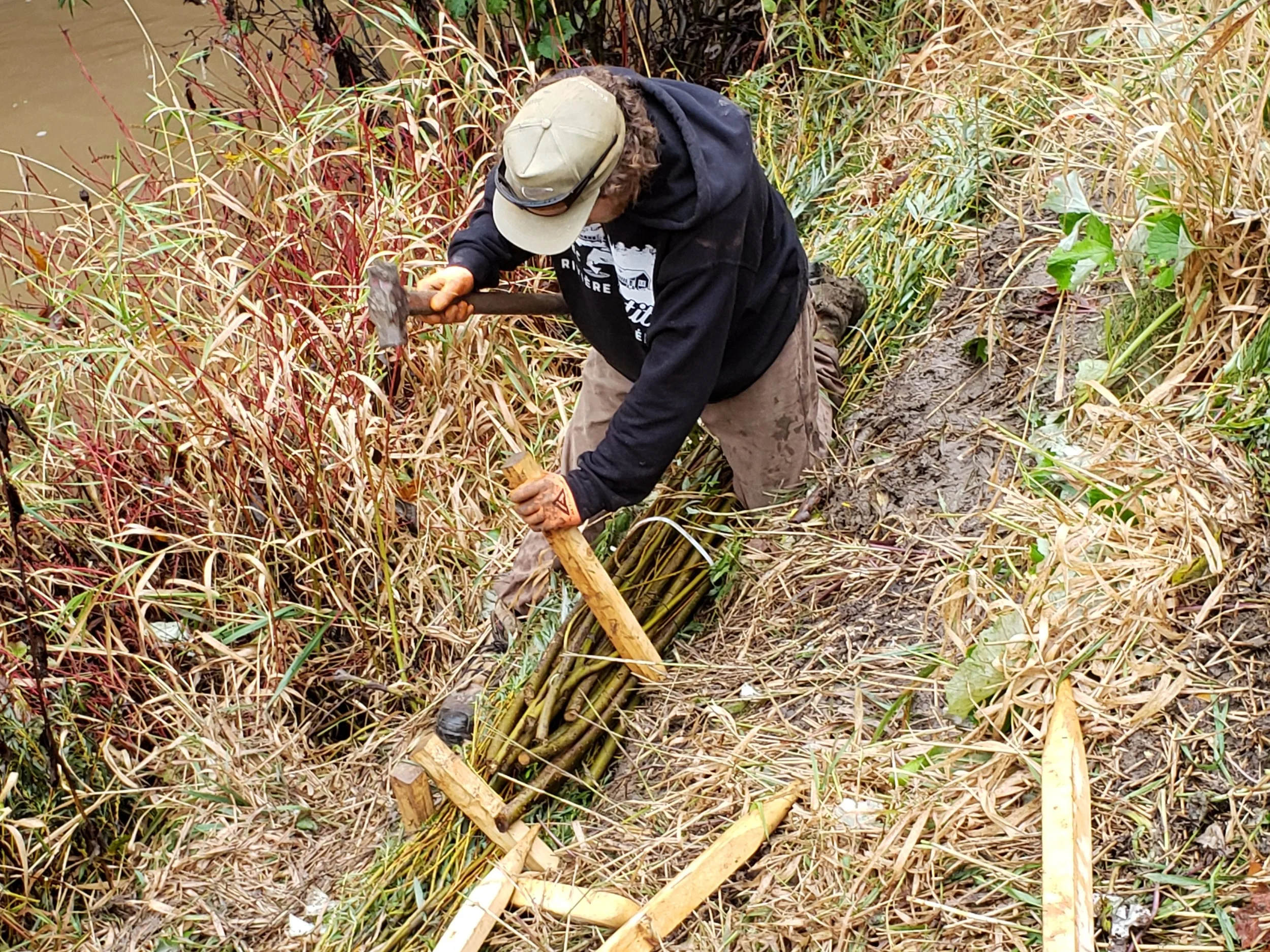 installation_saule_obv_etchemin_2021.jpg