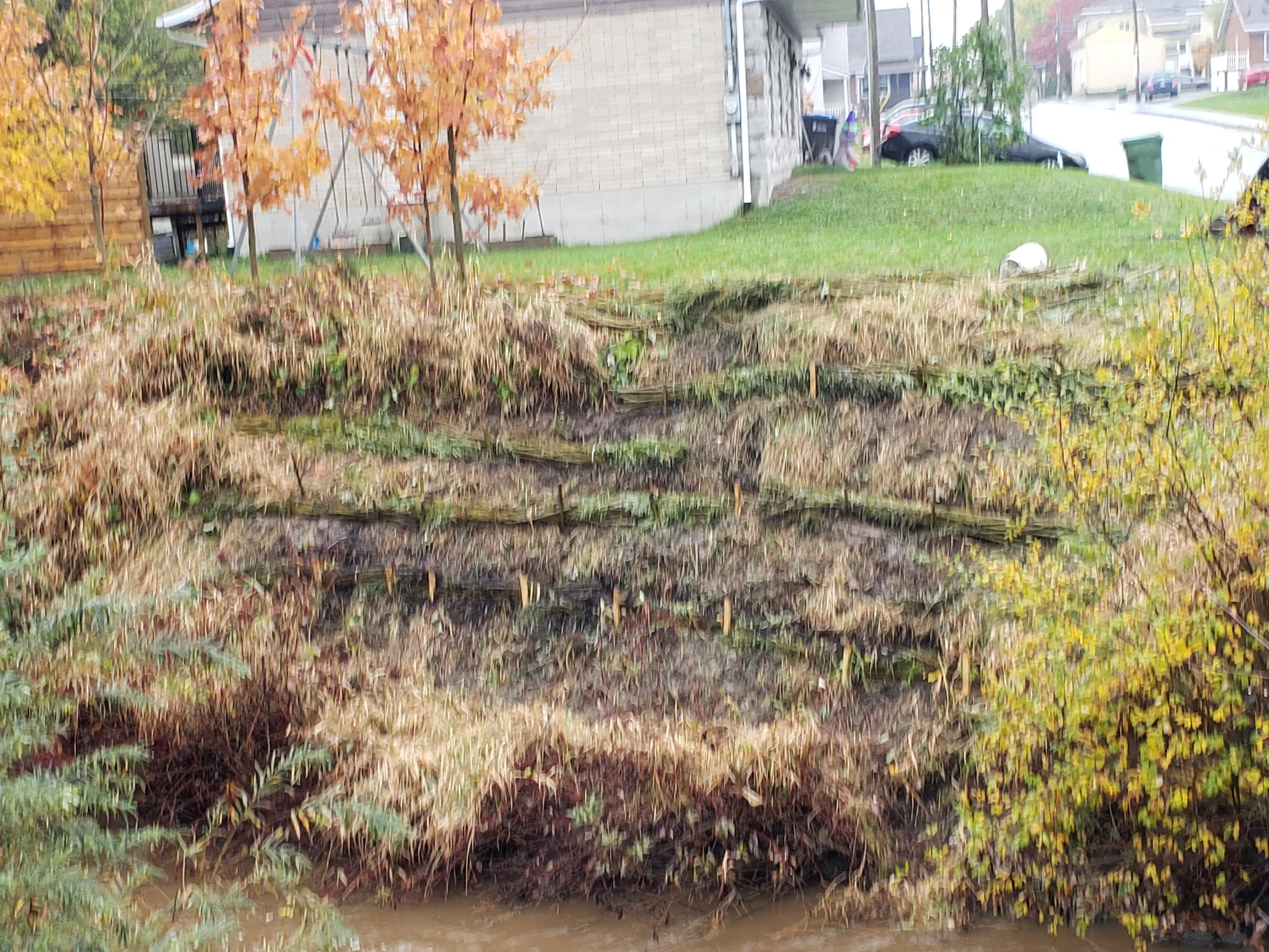 amenagement_saule_obv_etchemin_2021.jpg