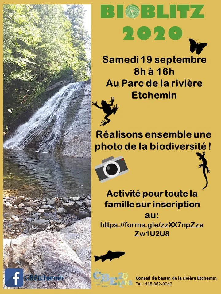 bioblitz-19 septembre 2020.jpg