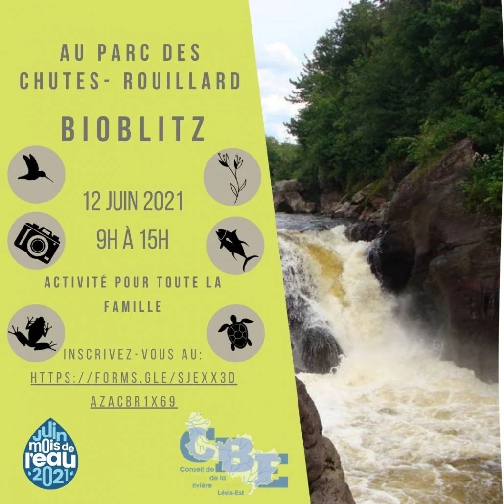 Bioblitz_2021.jpg