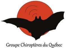 groupe_chiropteres_du_quebec.jpg