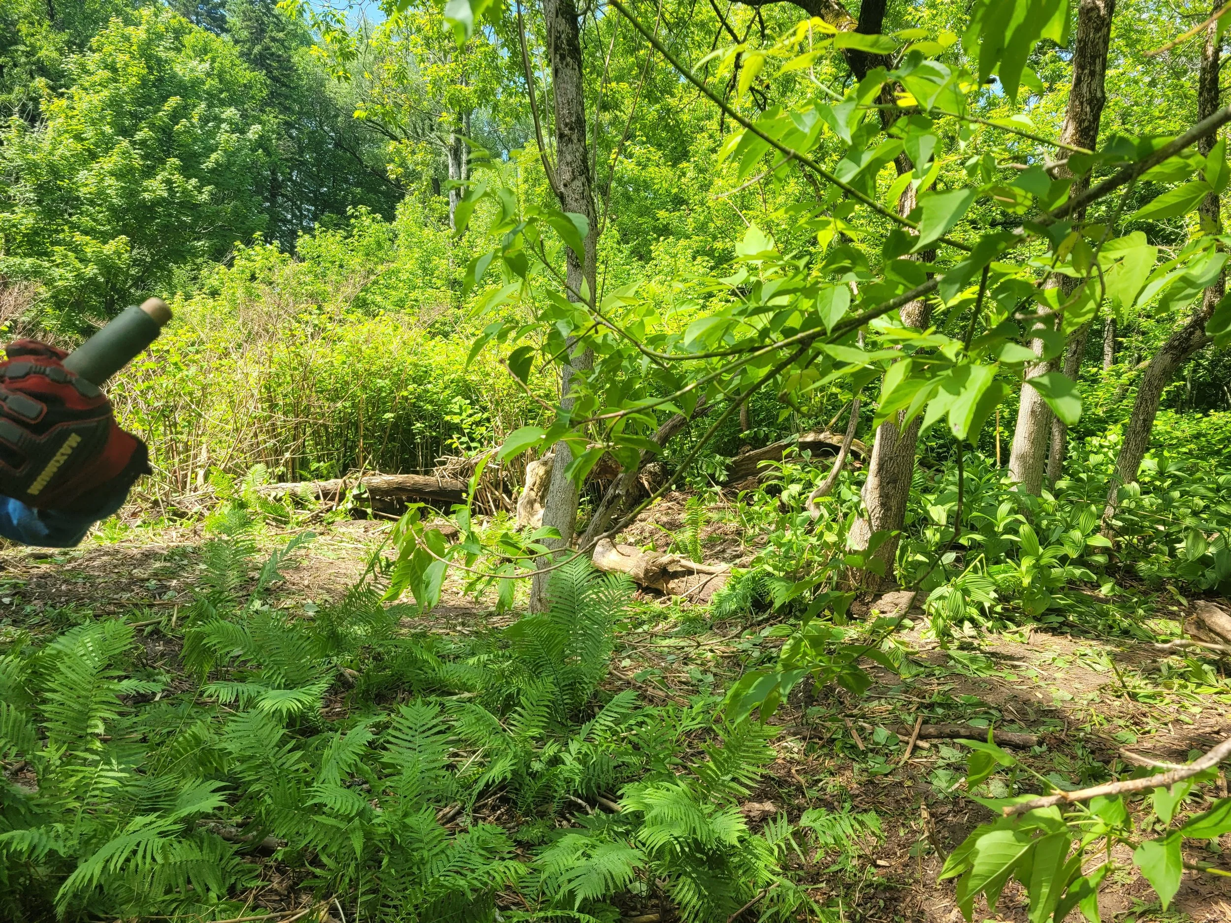 20260613_112301.jpg