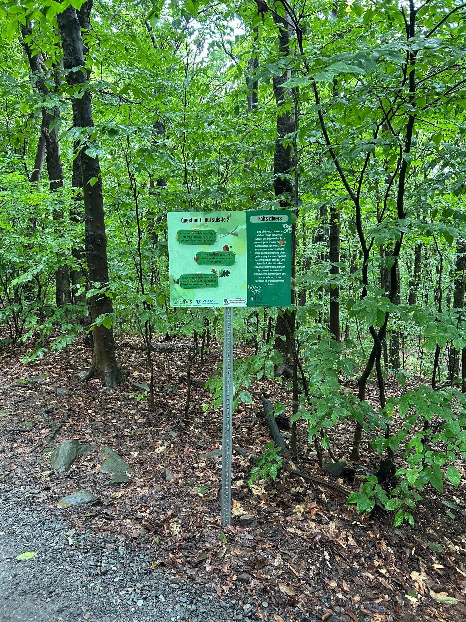 panneaux-parc-valero-ecarts-obv-etchemin.jpg
