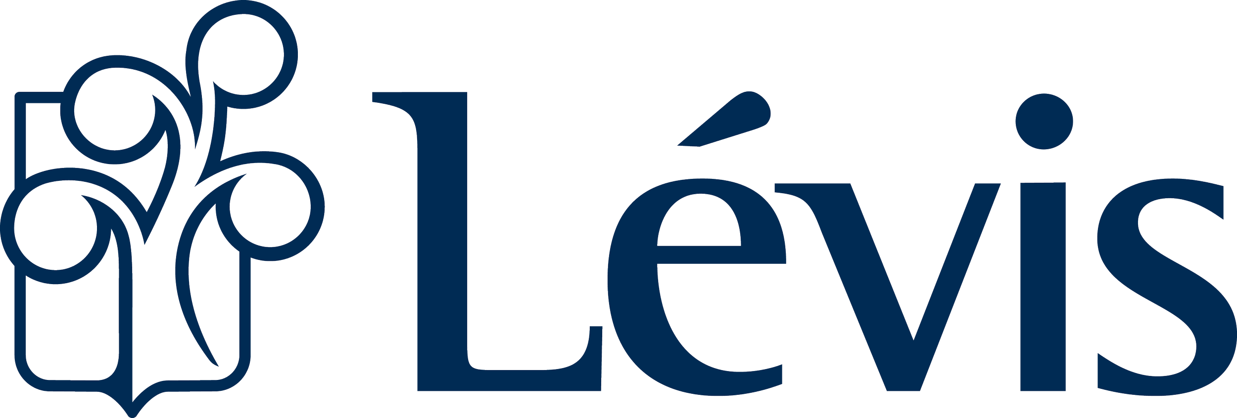 Levis-H-bleu-RGB.png