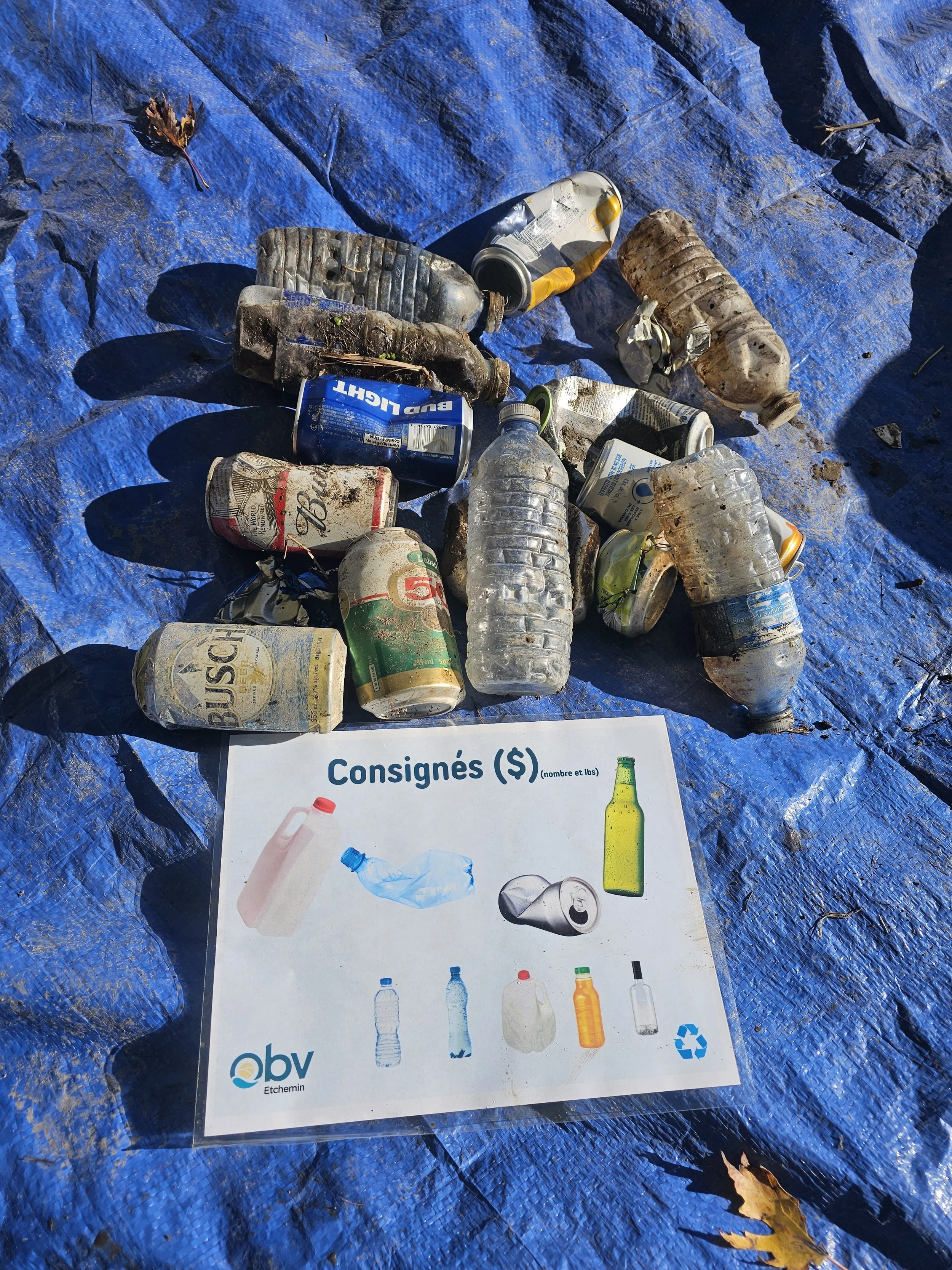 nettoyage_de_berges_obv_etchemin_saint-isidore_9.jpg