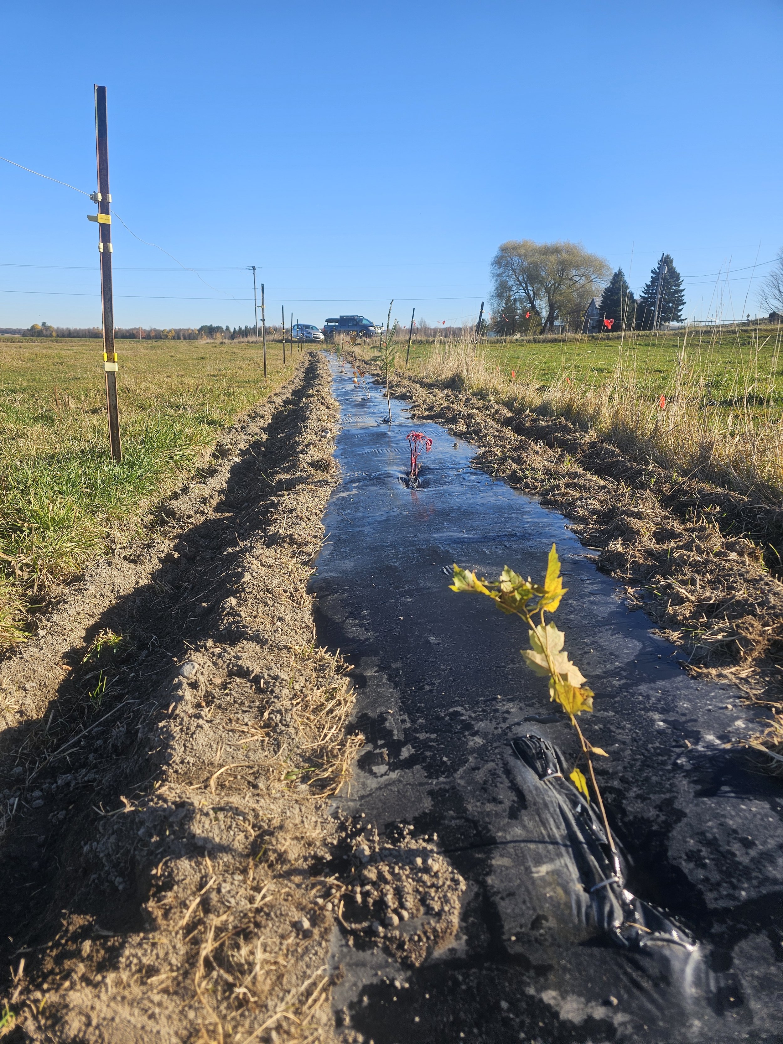 plantation_agricole_obv_etchemin_forvino.jpg