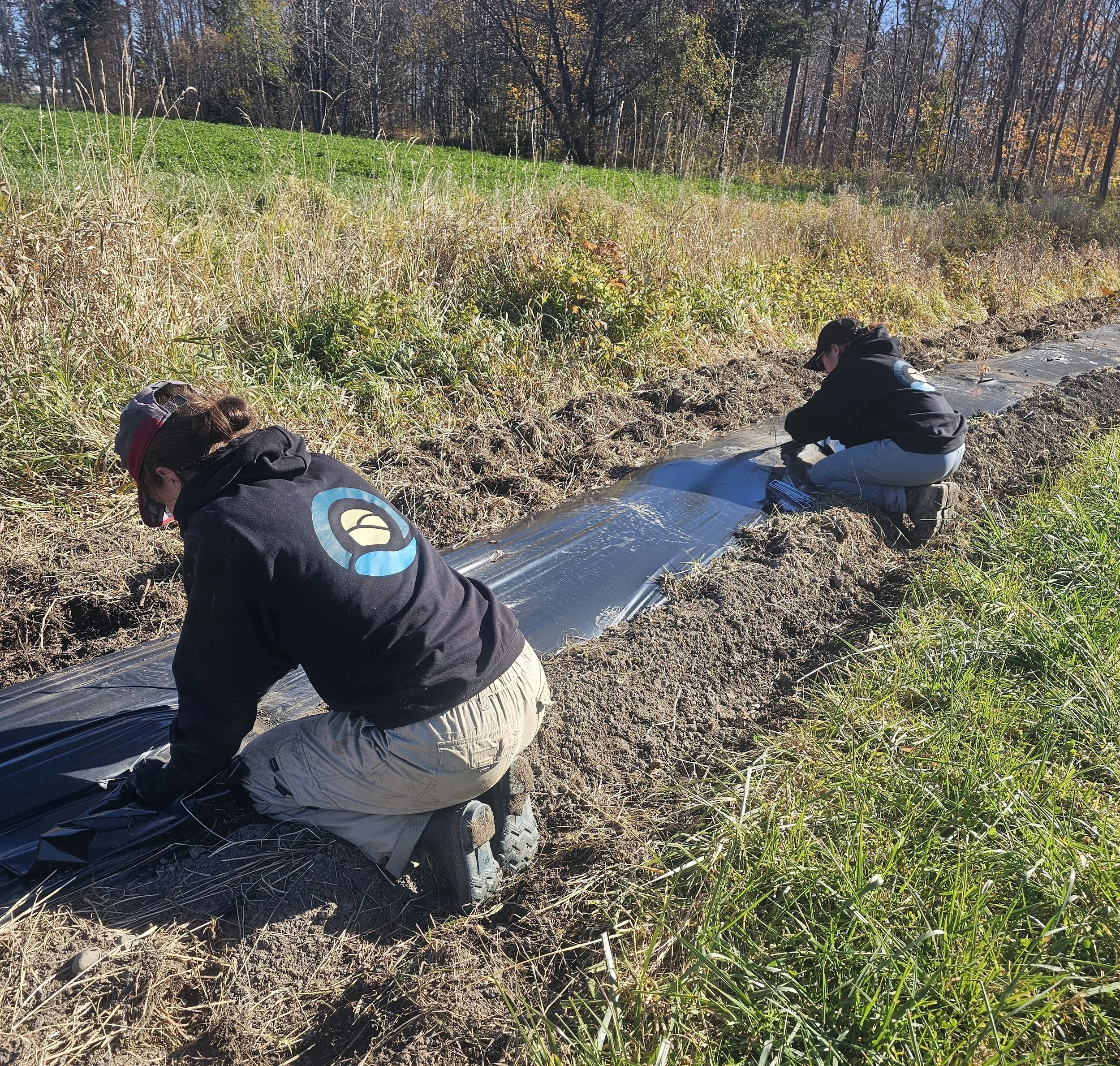 plantation_agricole_obv_etchemin.jpg